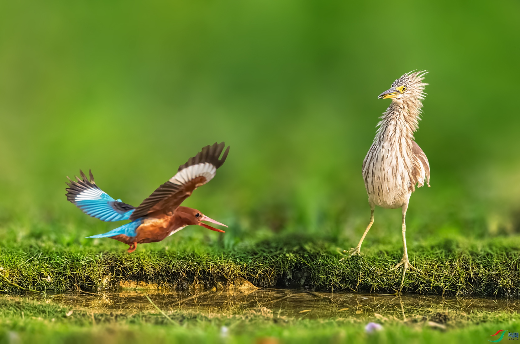 �٣�����ȥ�ģ�