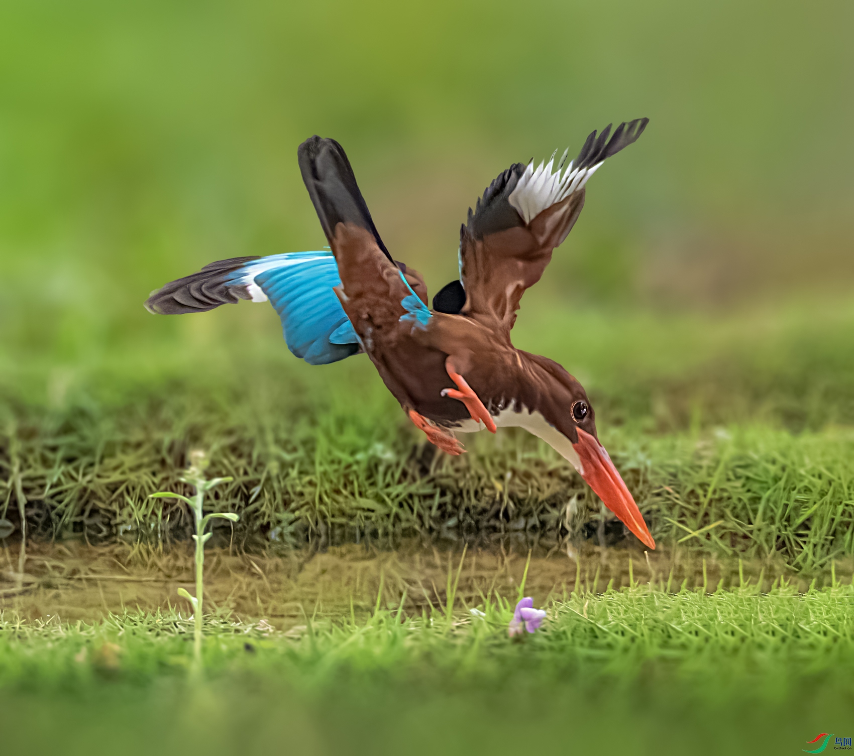 �������