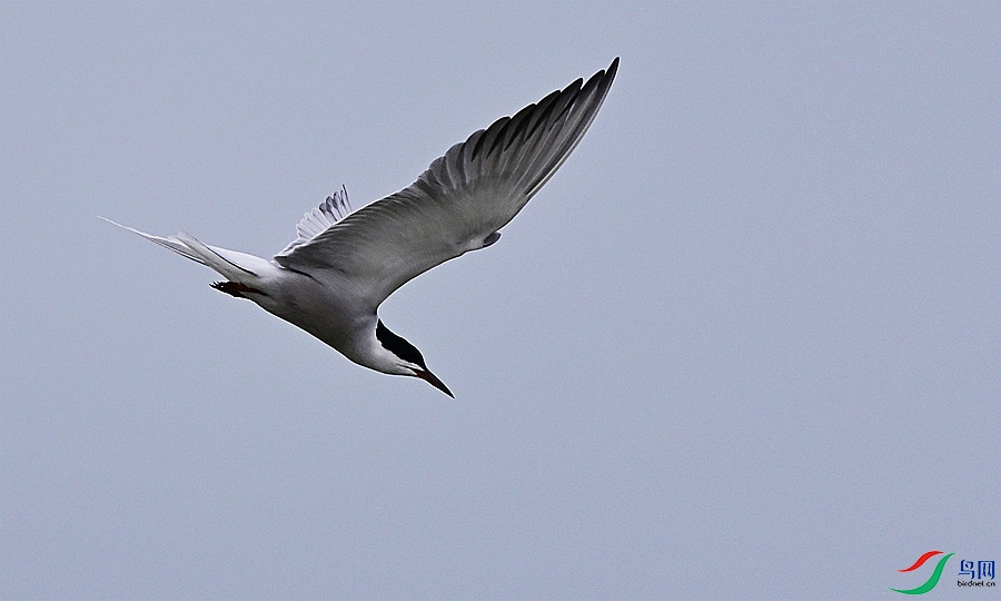 DSC_0029.JPG
