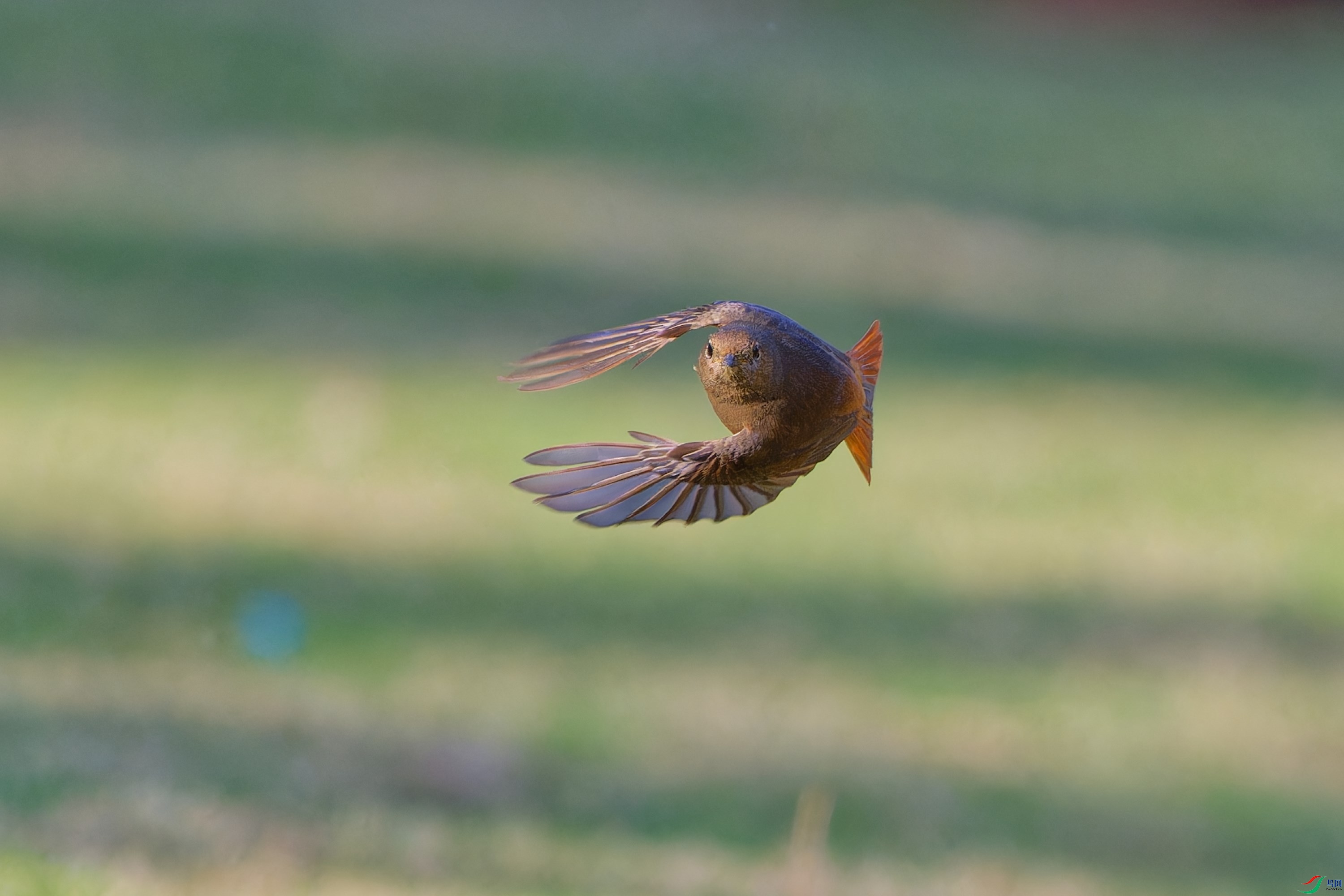 DSC_4209.jpg