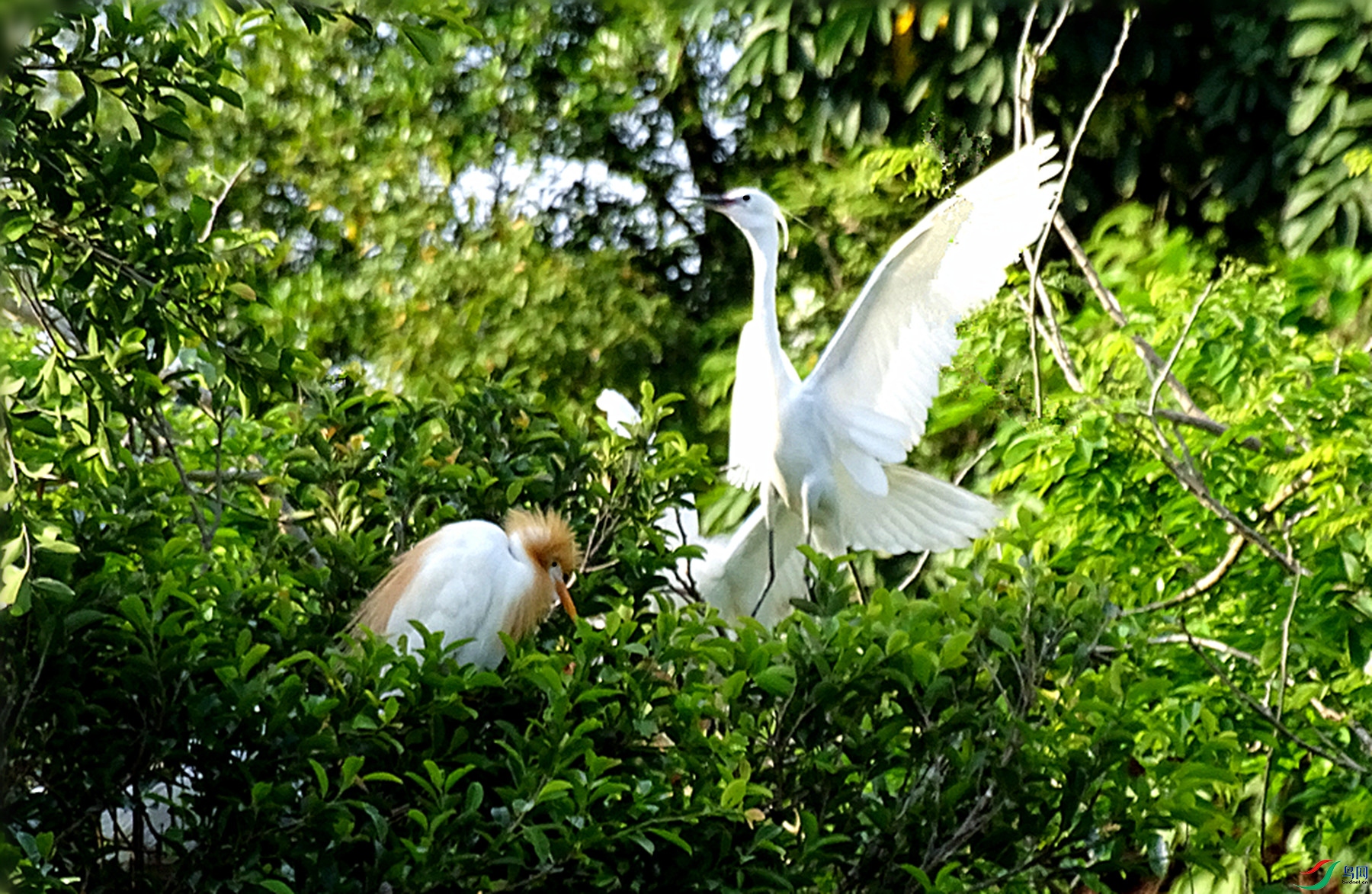 DSC04757_����.jpg