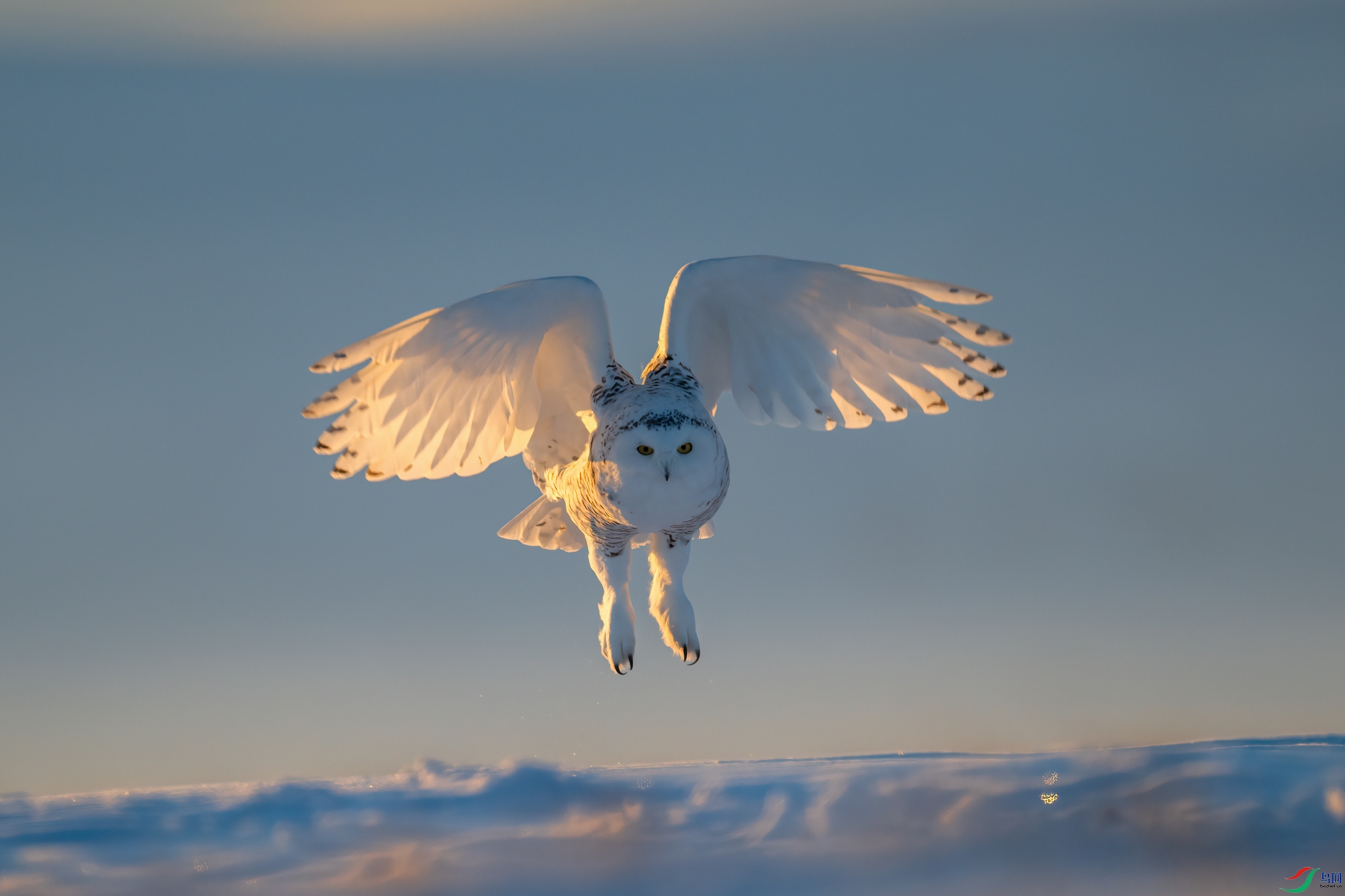 DSC_4740 ����01.jpg