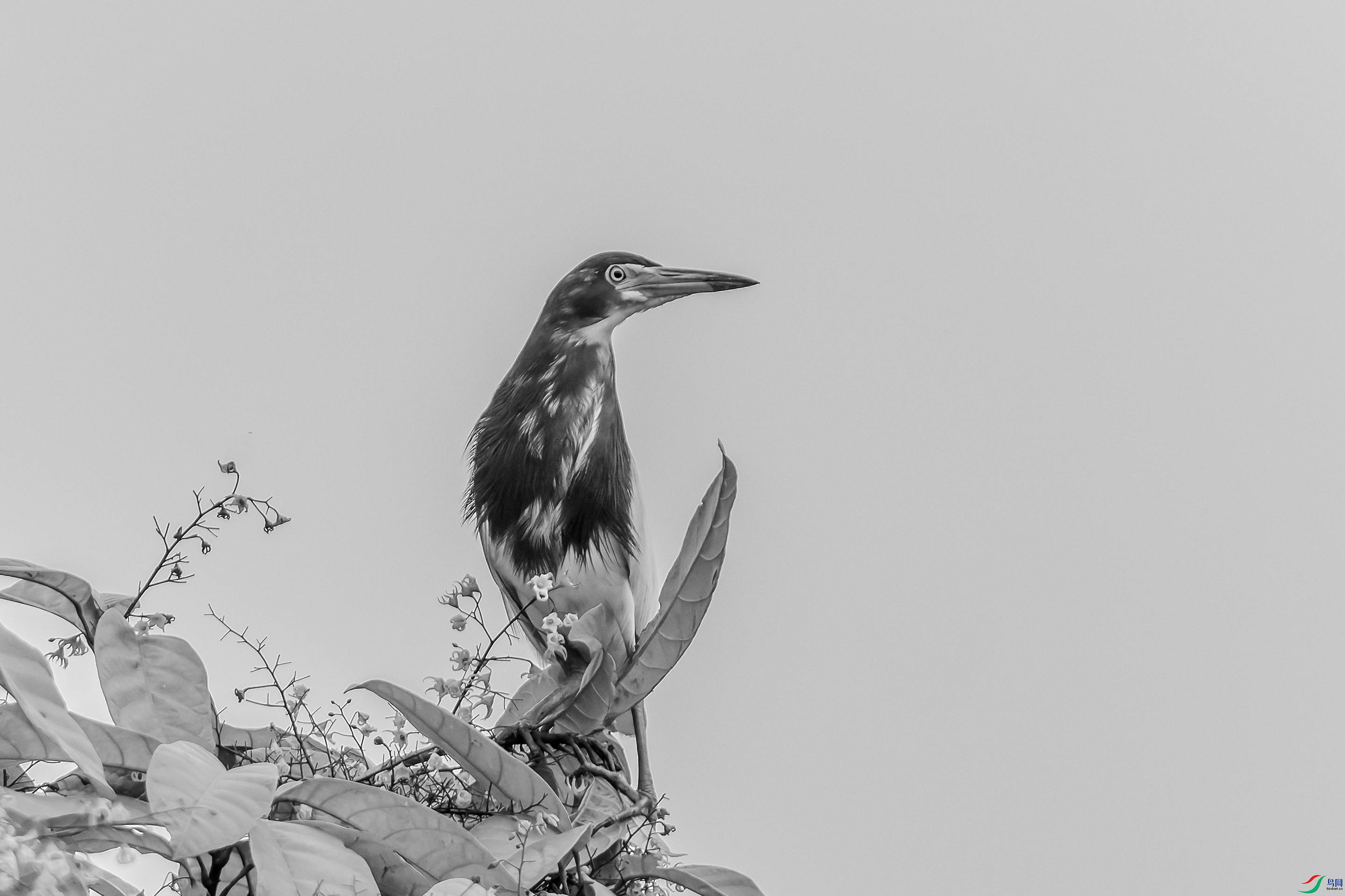 DSC05253-1.jpg