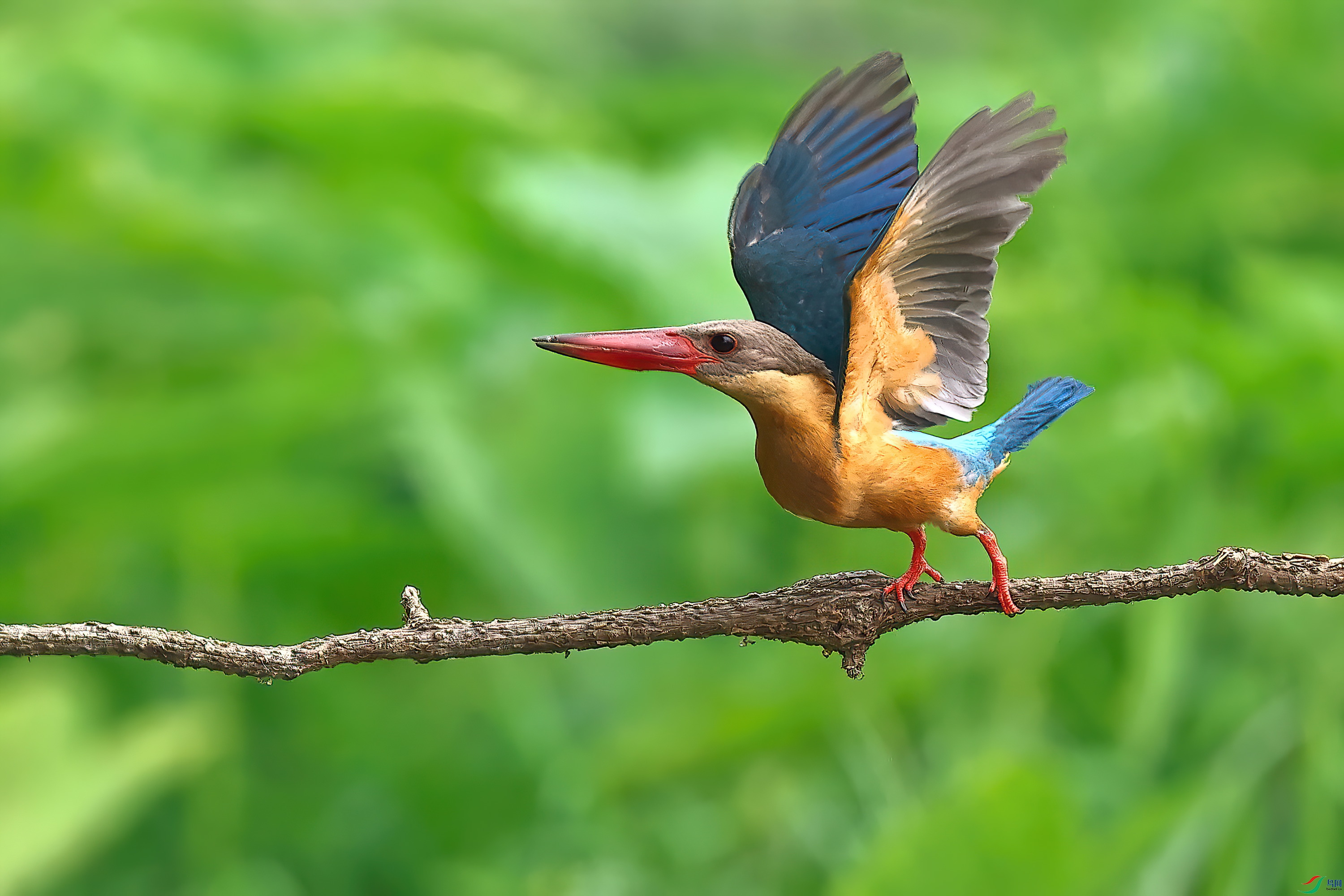 �������