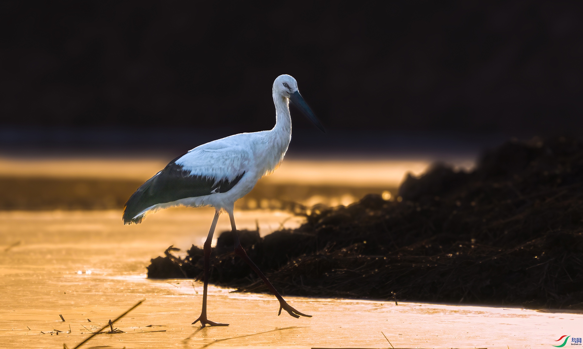 DSC08321 ���� 2.jpg