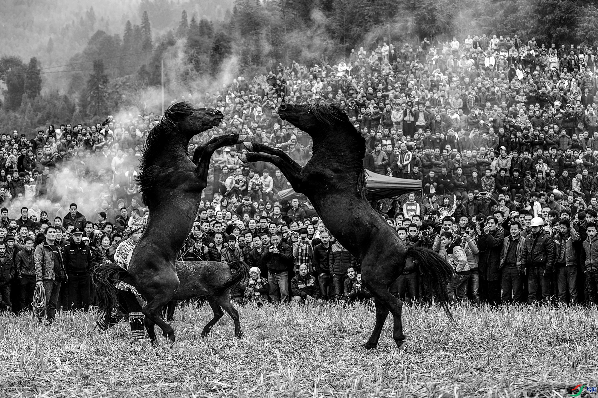 �������� ����11.jpg