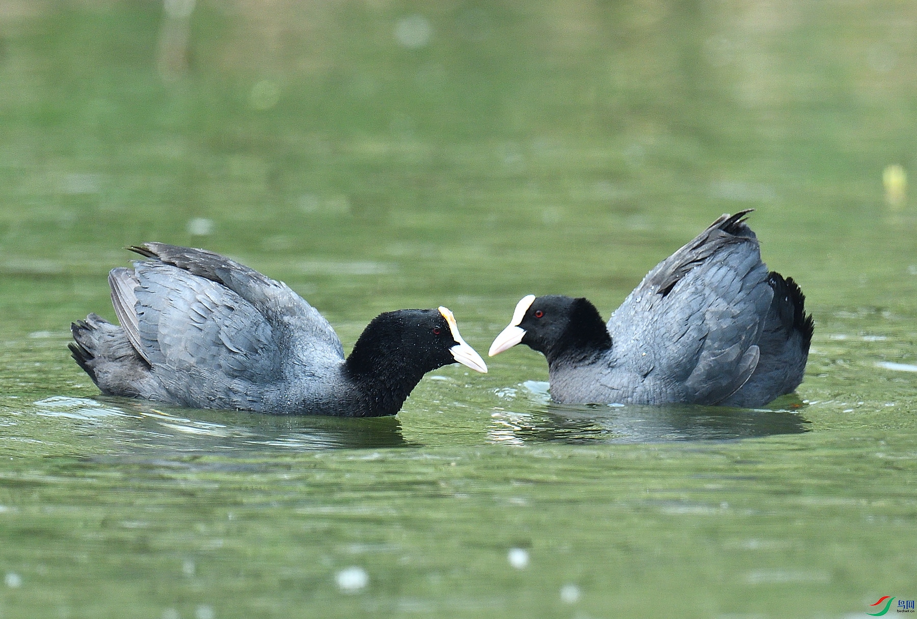 DSC_7707.JPG