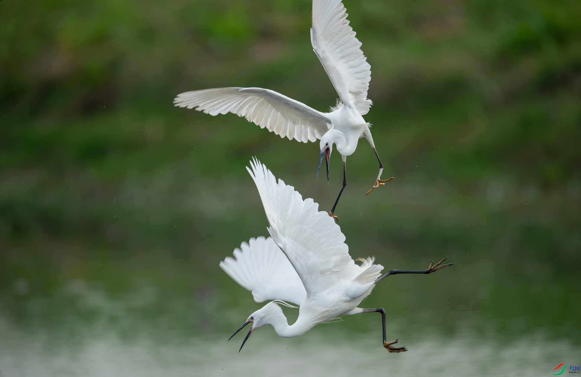 DSC_1546-����ǿ-NR.jpg