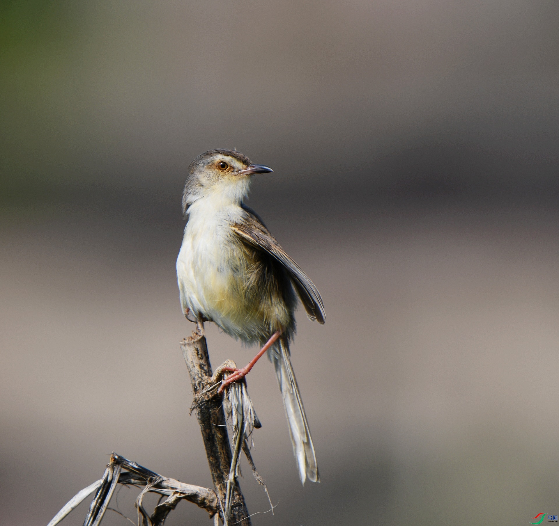 DSC_5616.jpg