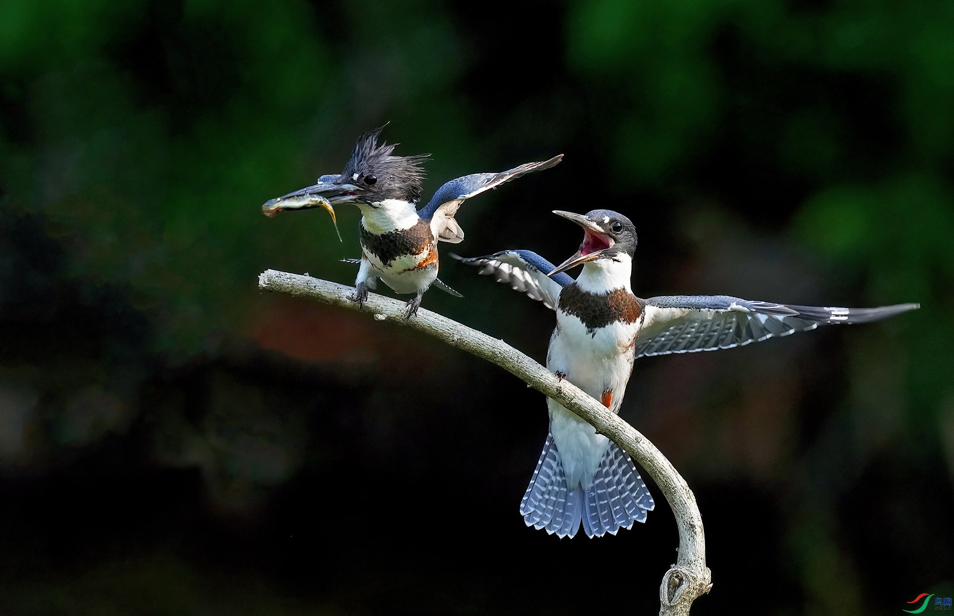 DSC09682--.jpg