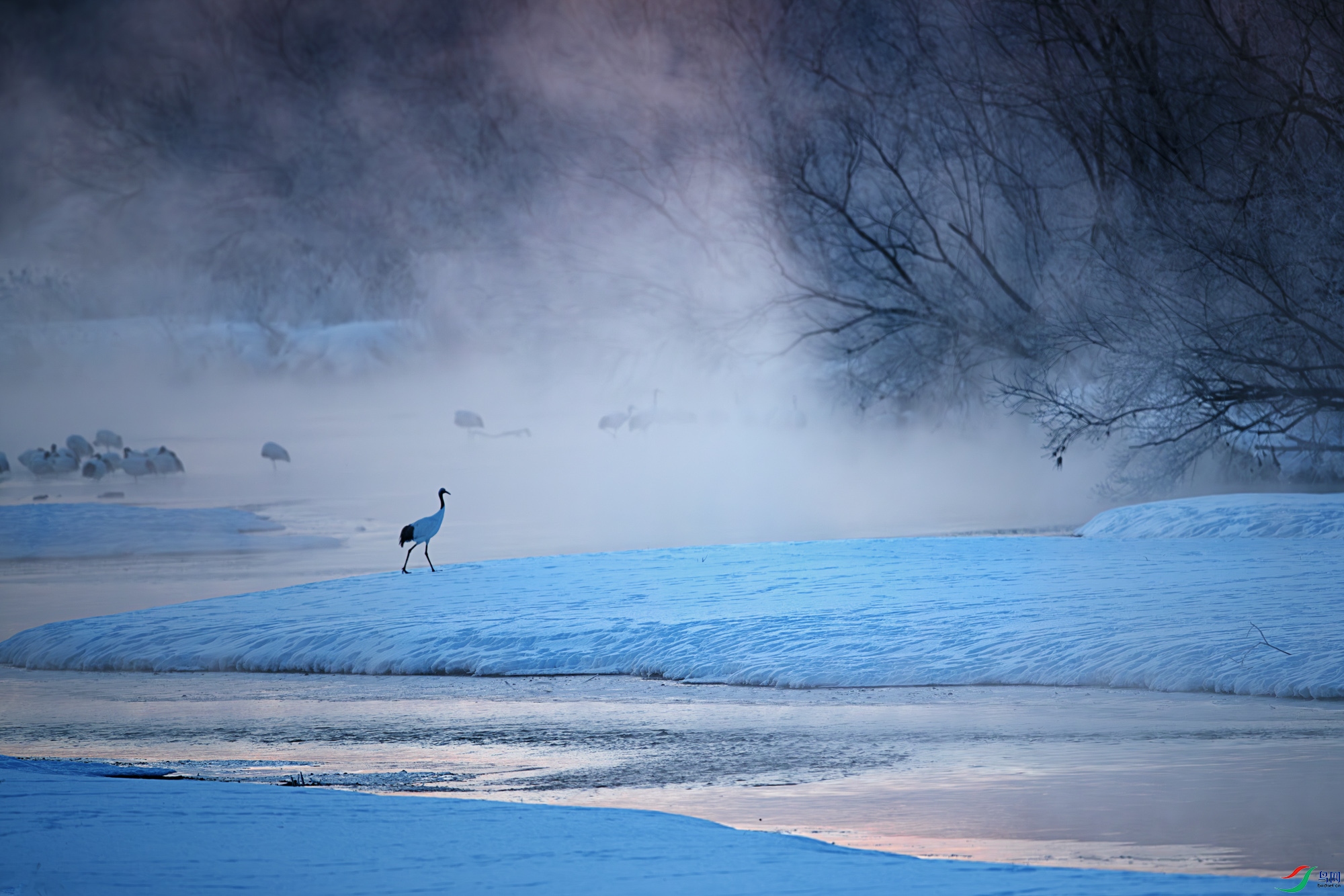 AQ9I2029-����ǿ-NR ����.jpg