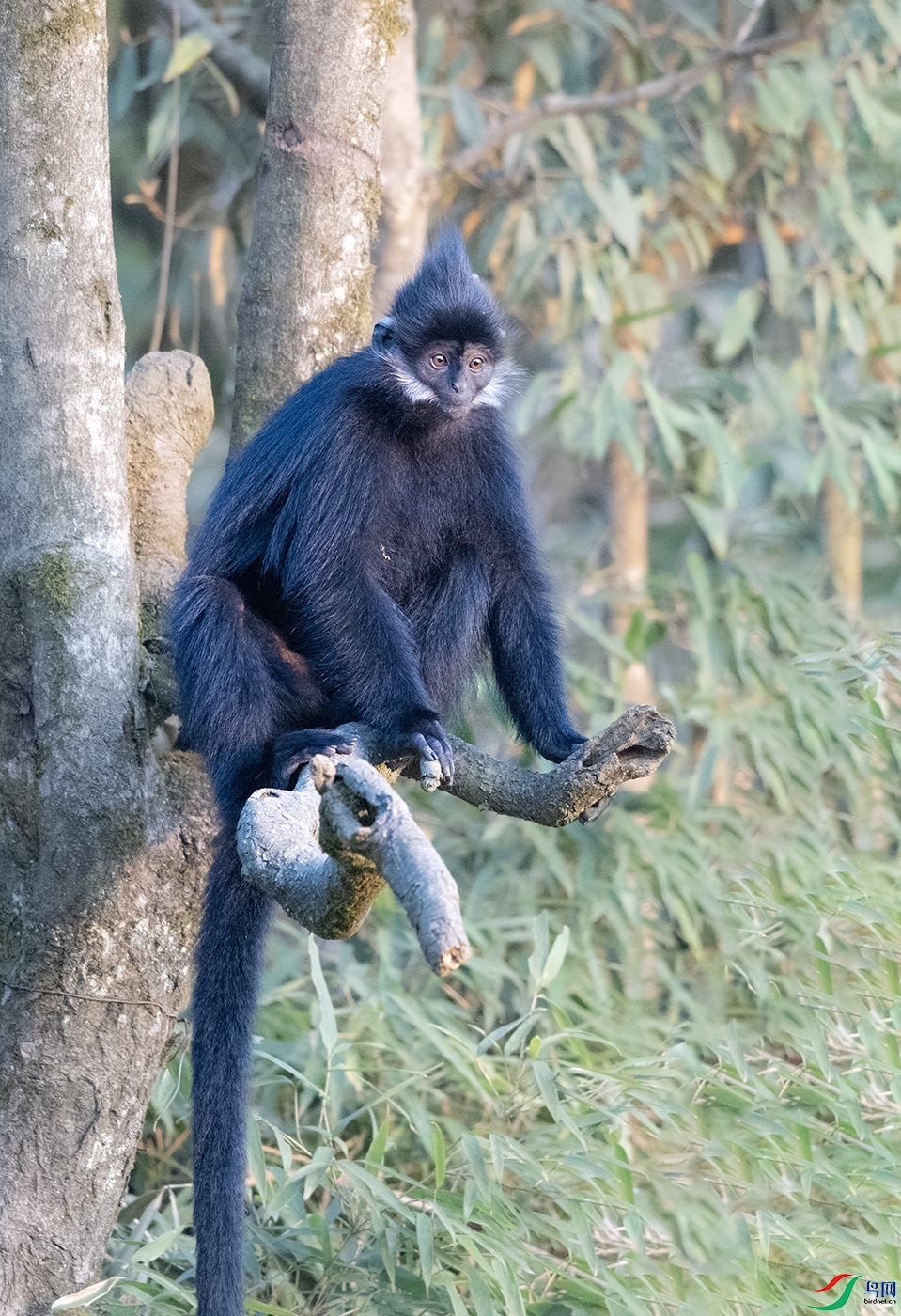 DSC_6352.jpg