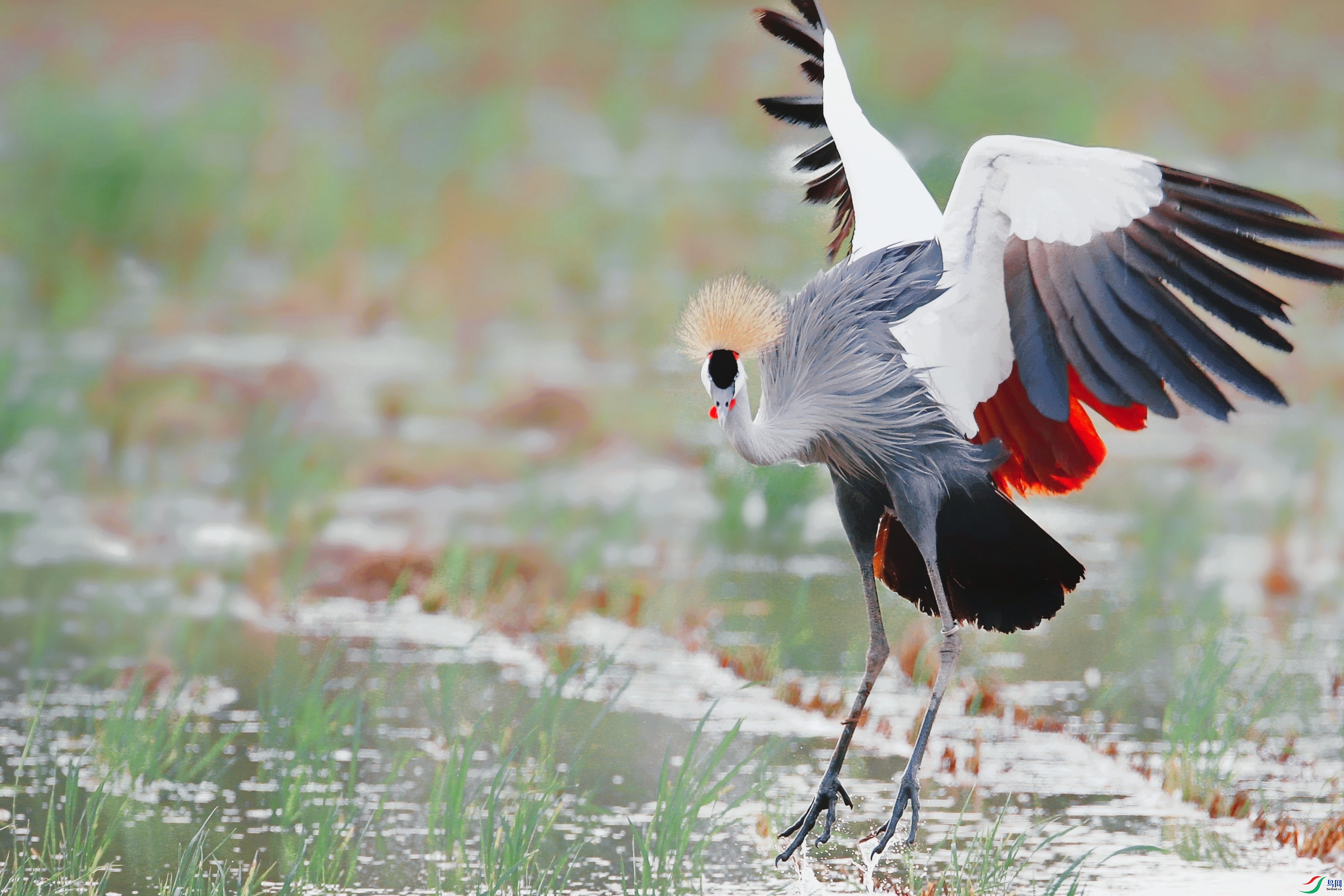 AI9I1253_����_����_���� (2).jpg