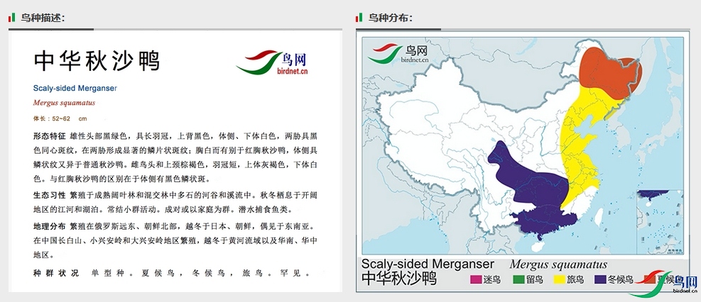 ΢�Ž�ͼ_20250427085703.png
