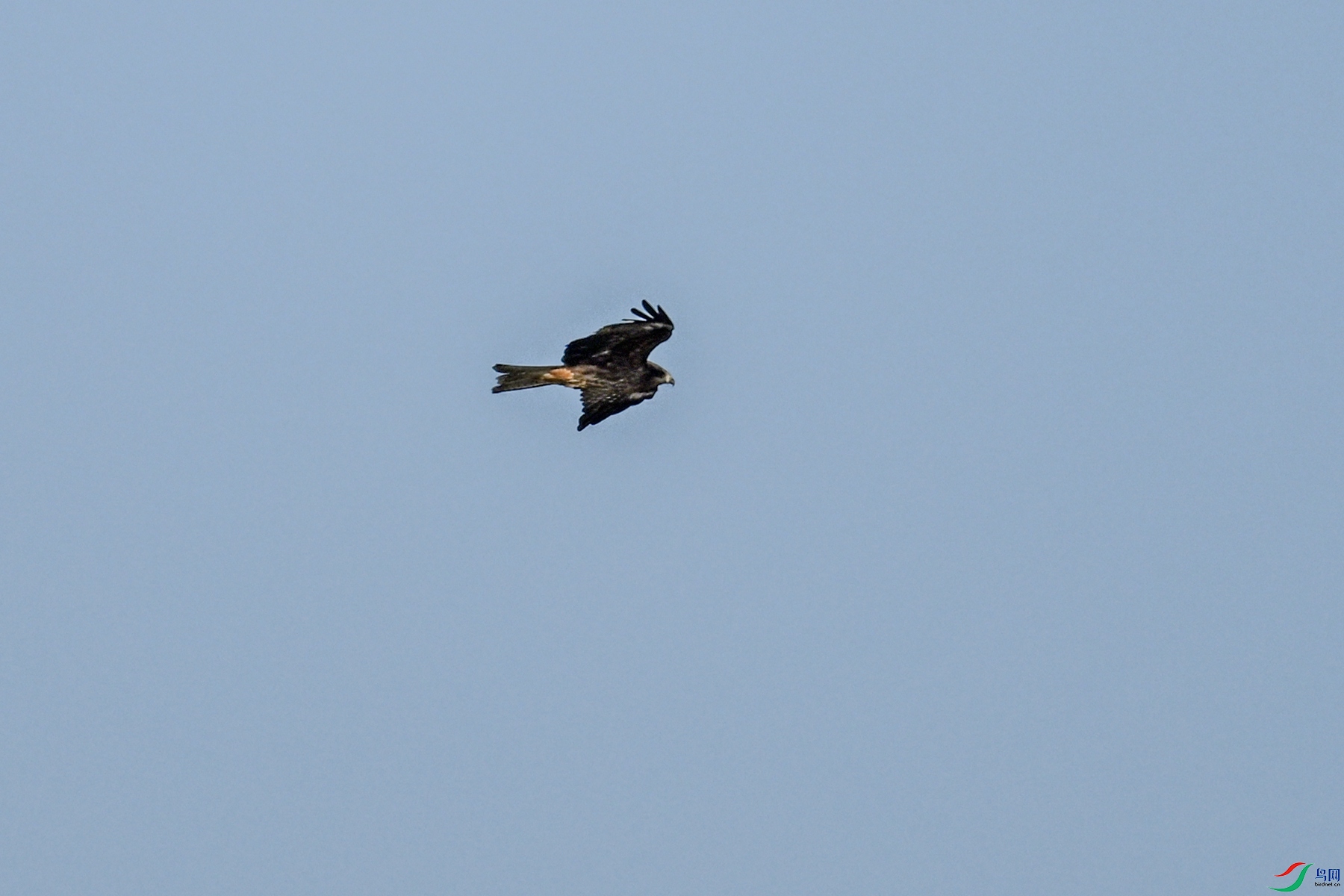 DSC_8463.JPG