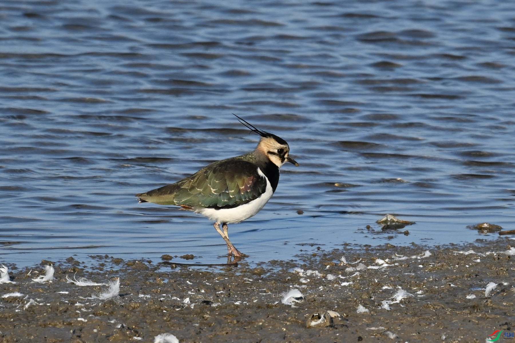 DSC_8646.JPG