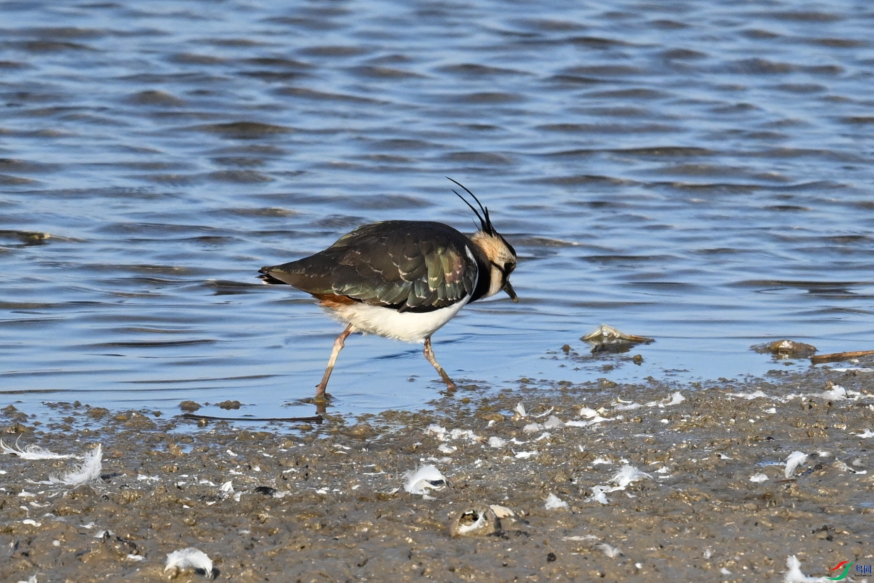 DSC_8650.JPG