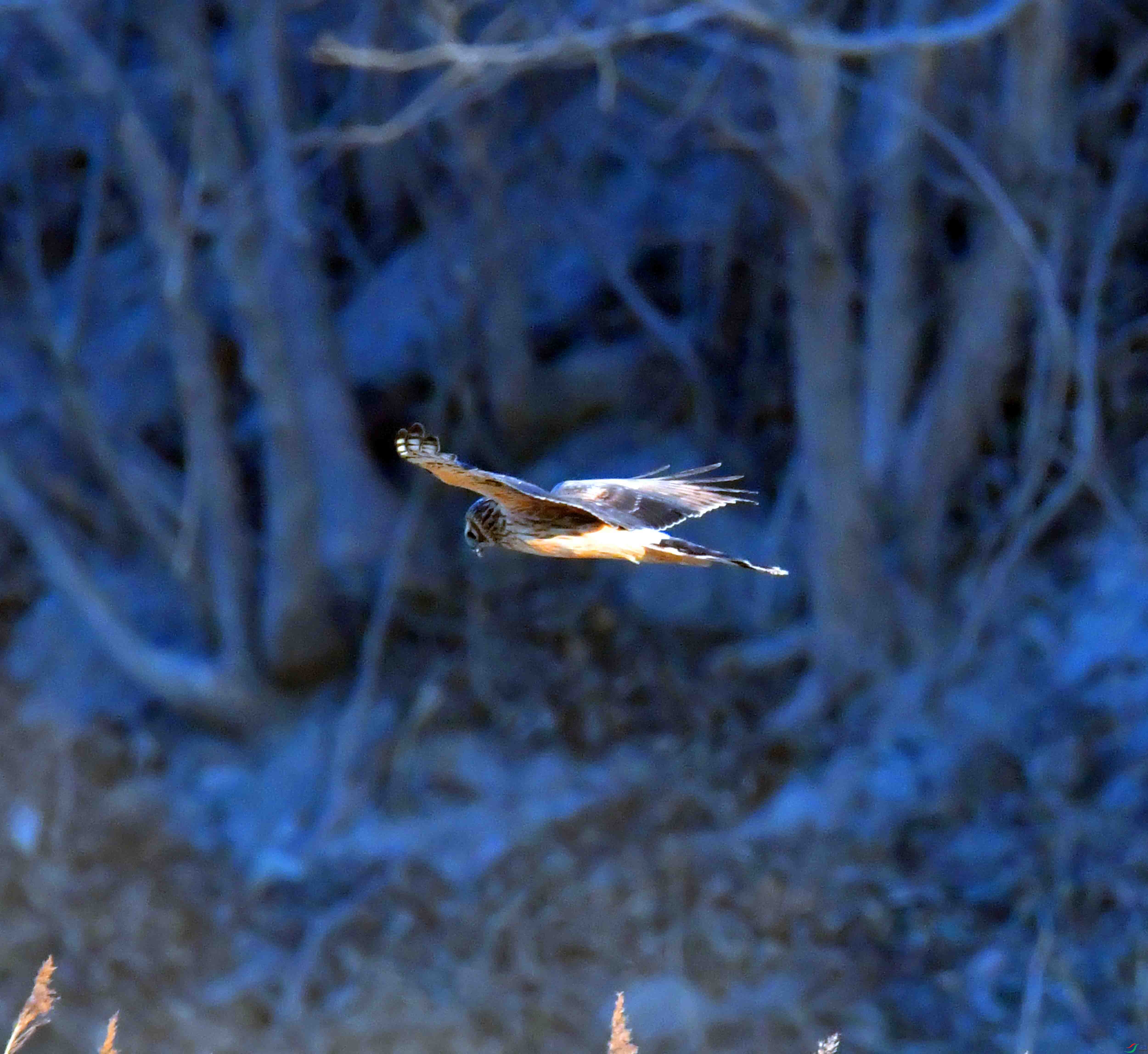 DSC_0122.JPG