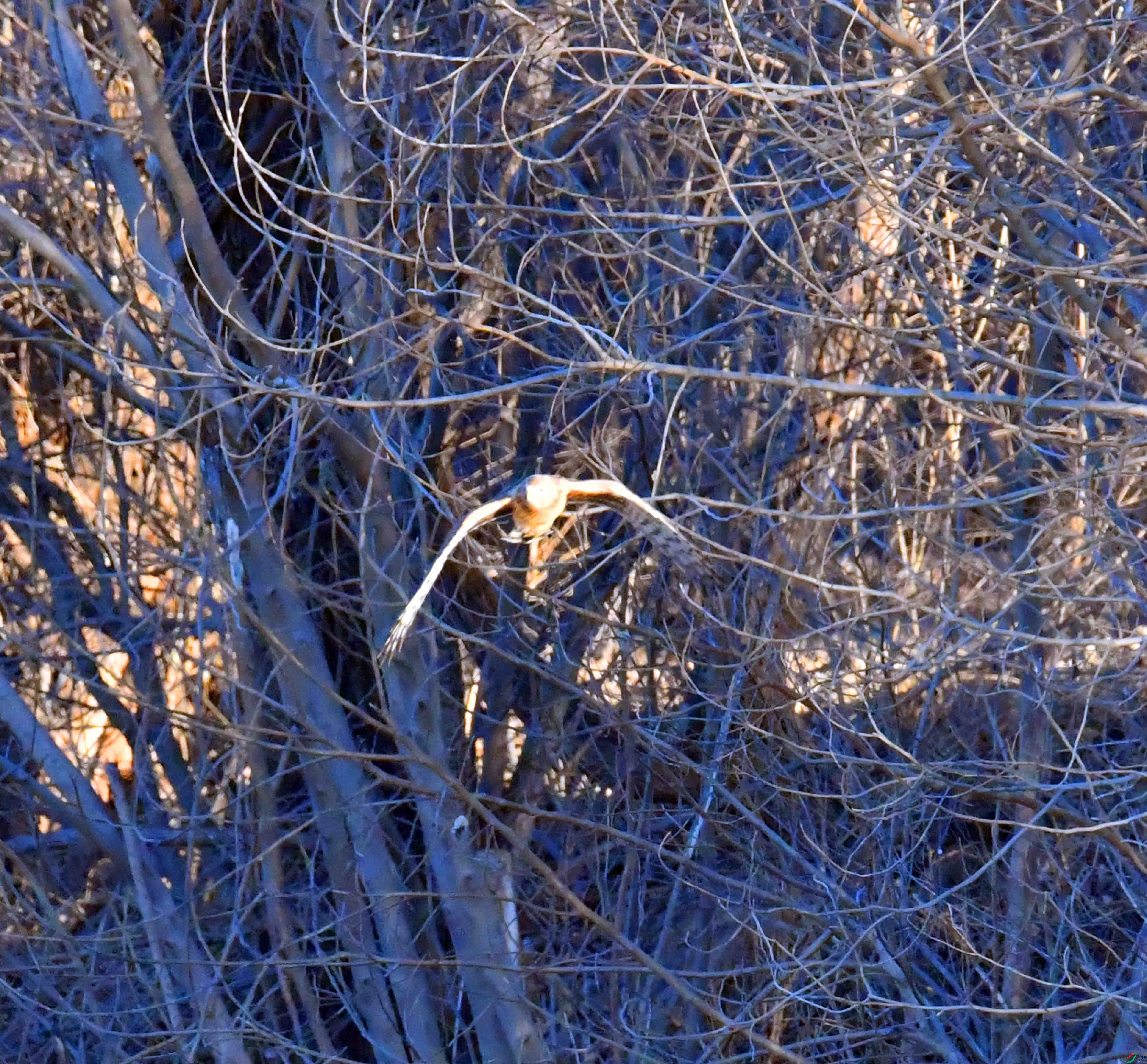DSC_0149.JPG