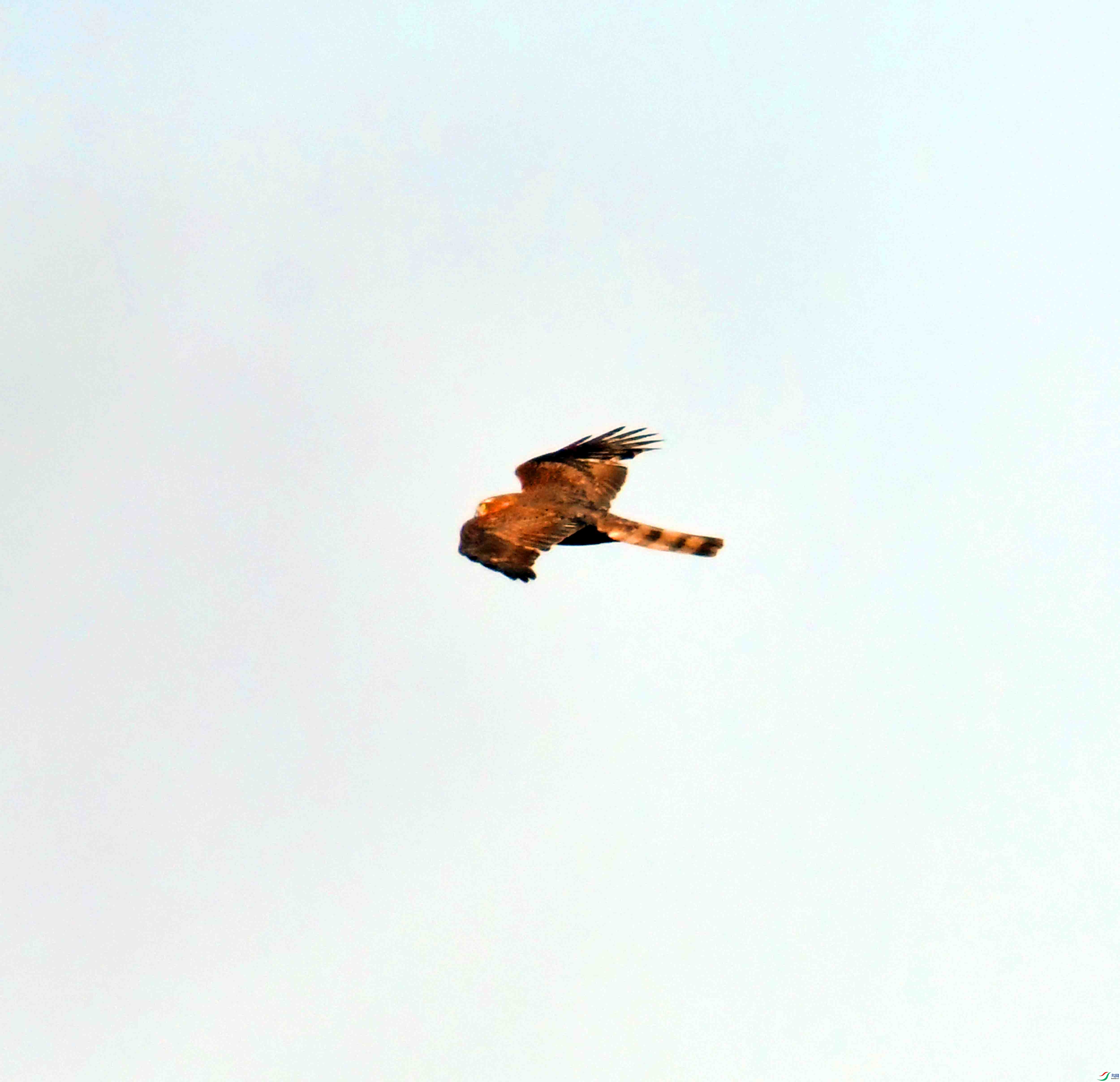 DSC_2907.JPG