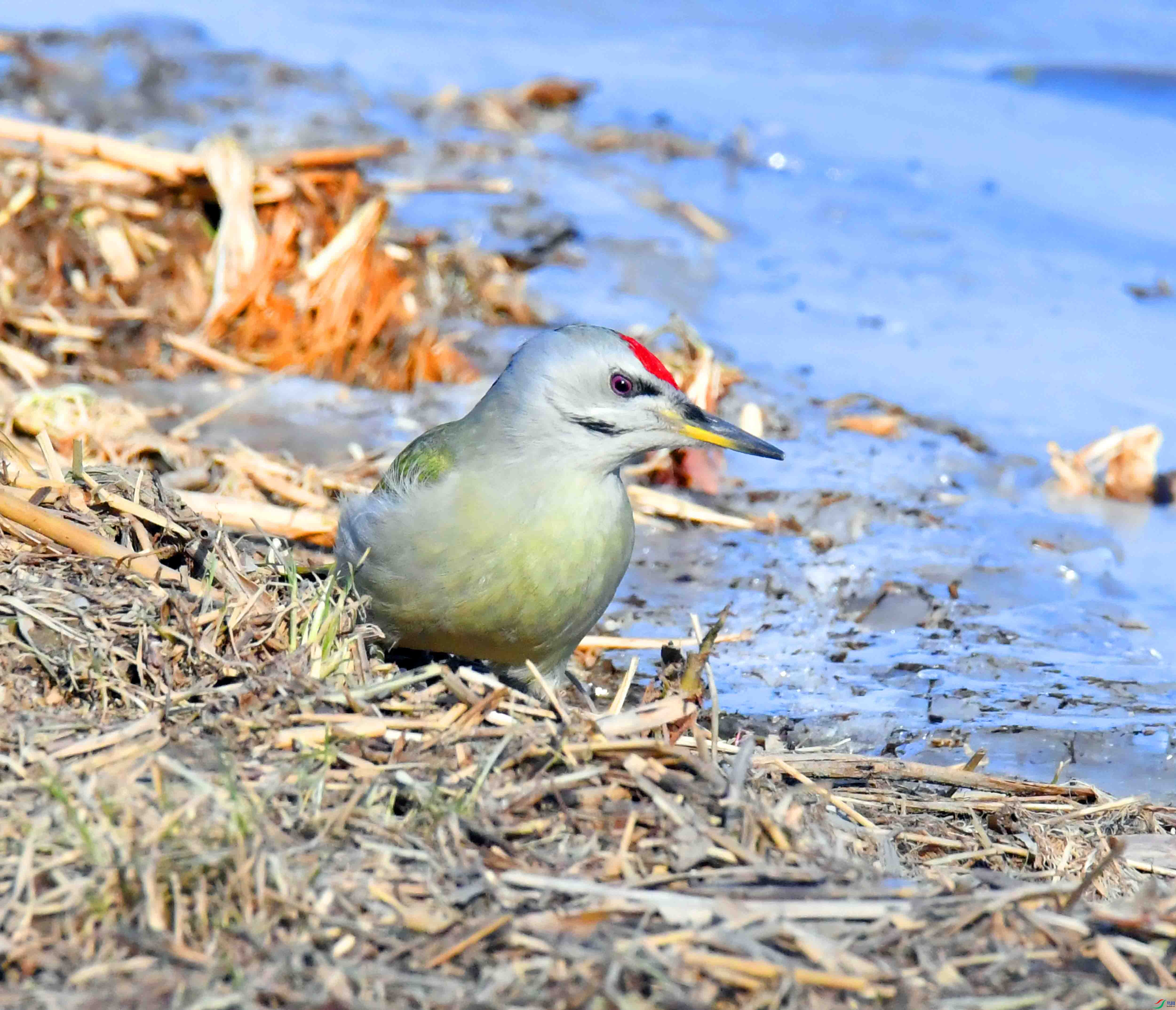 DSC_1628.JPG