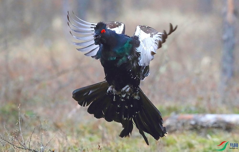 �����ɼ����� (2).jpg