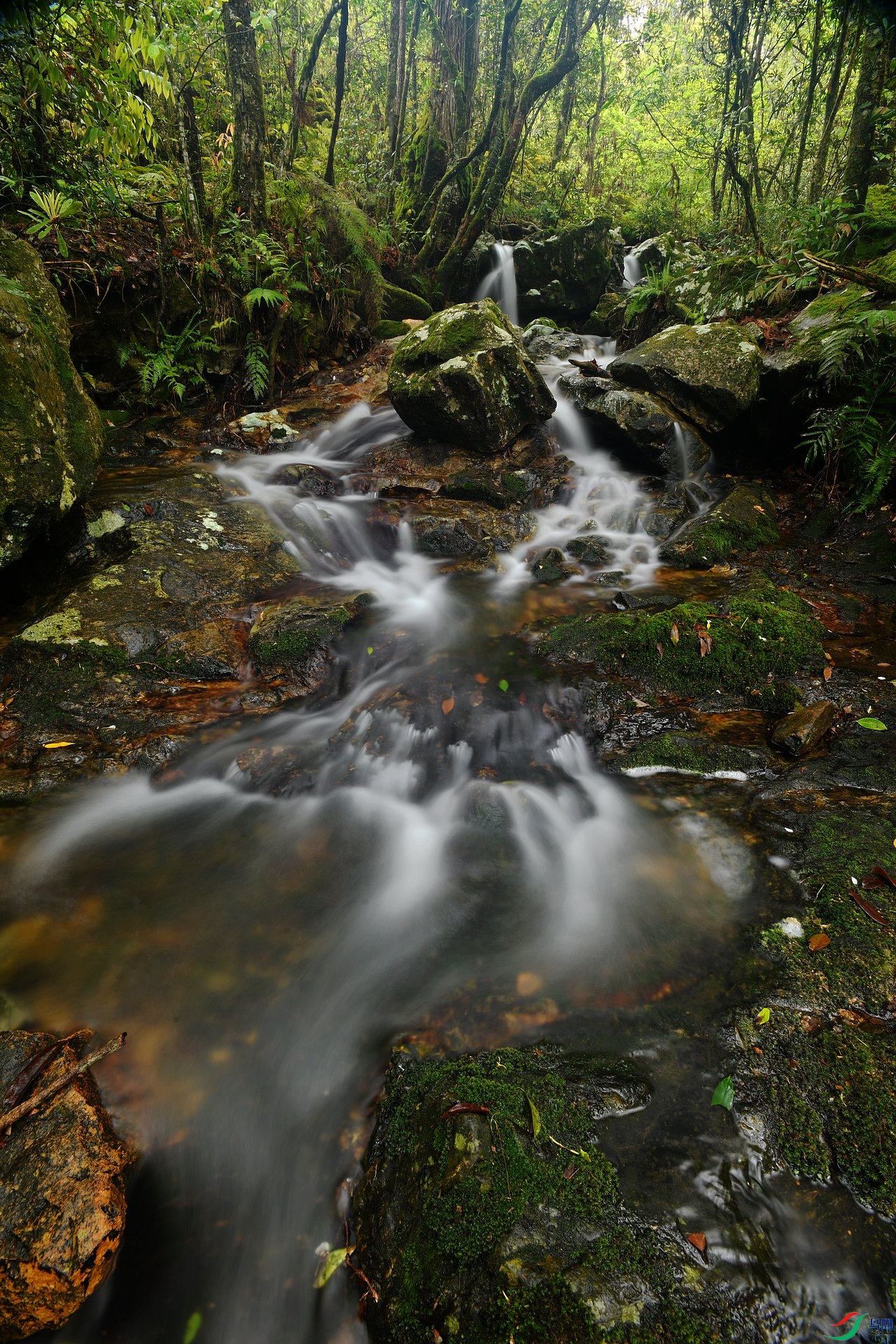 DSC_7155.jpg