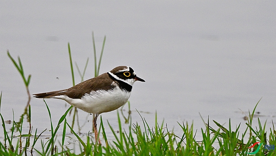 DSC_0164.JPG