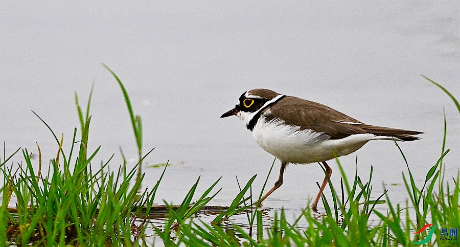 DSC_0173.JPG
