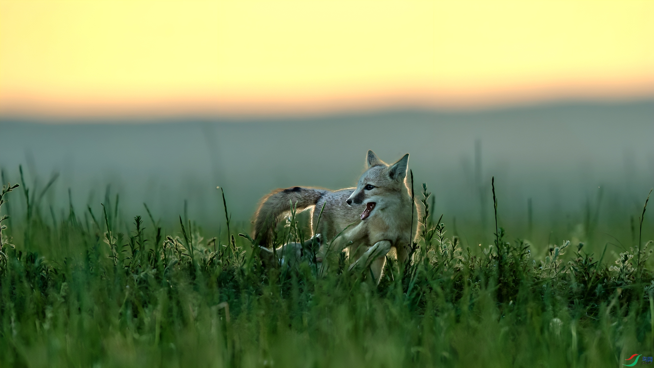 _DSC4371.jpg��ϼӳɳ��_����_����.jpg