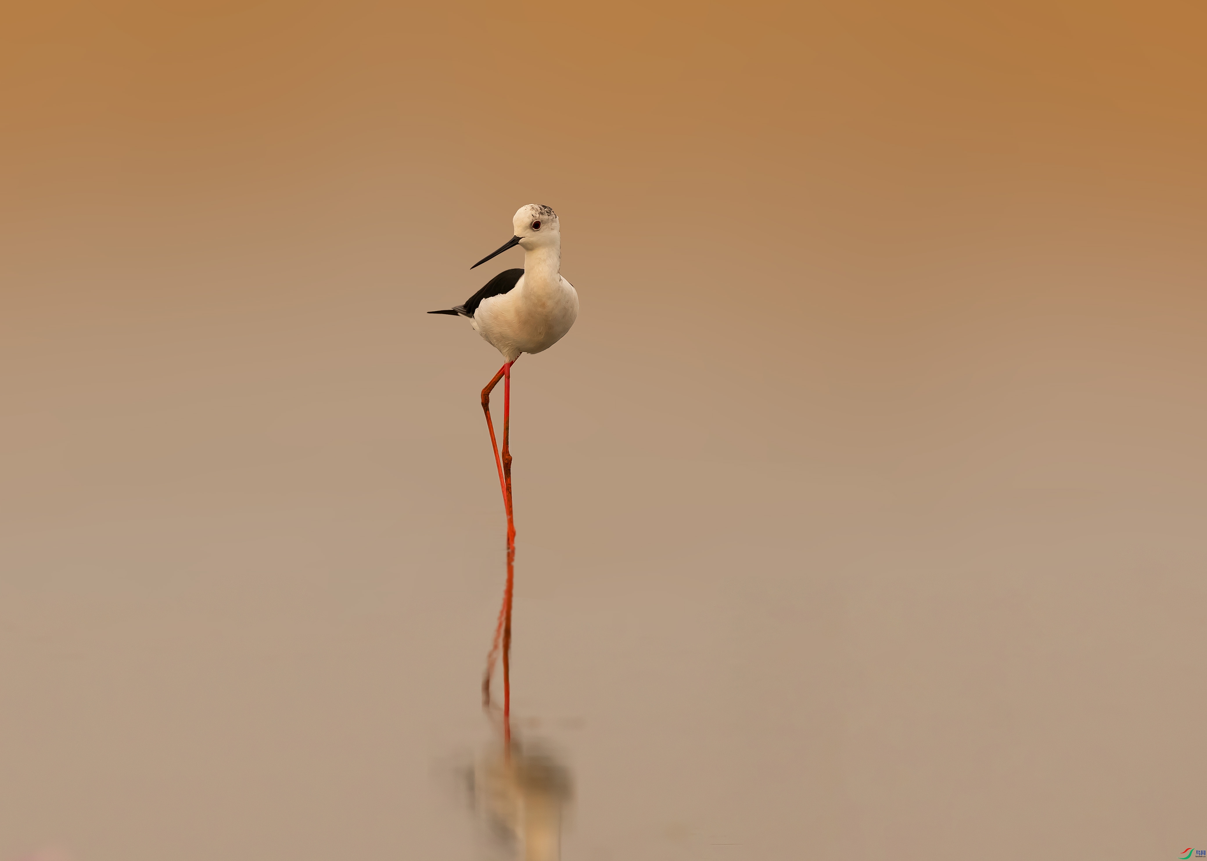 019A835889 ����.jpg