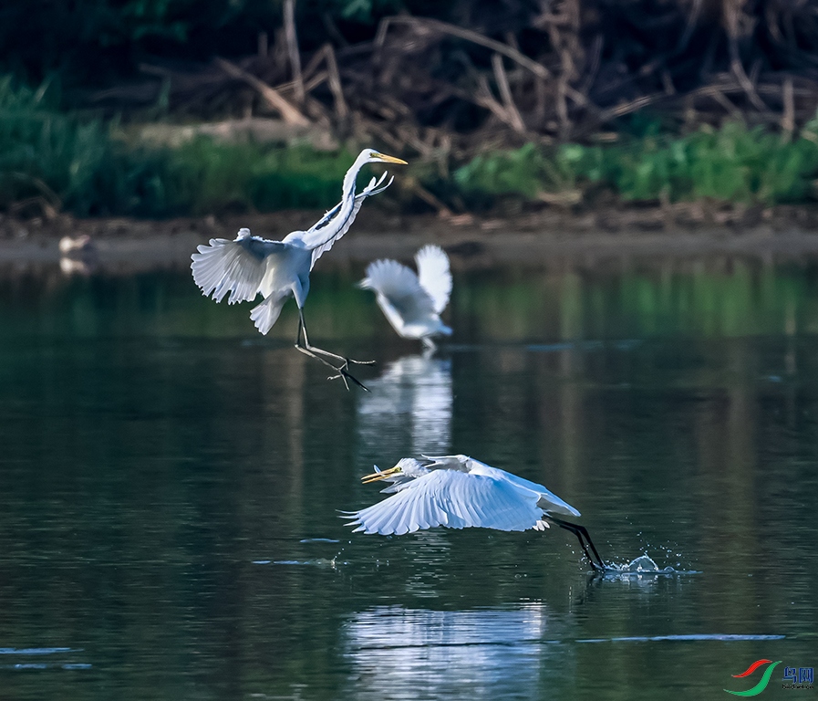 0J2A6408-0.jpg