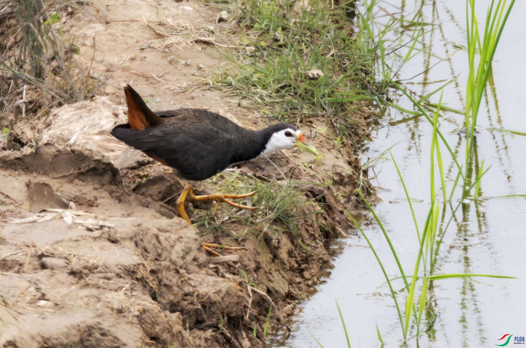 2I1A0717-����ǿ-NR ����.jpg