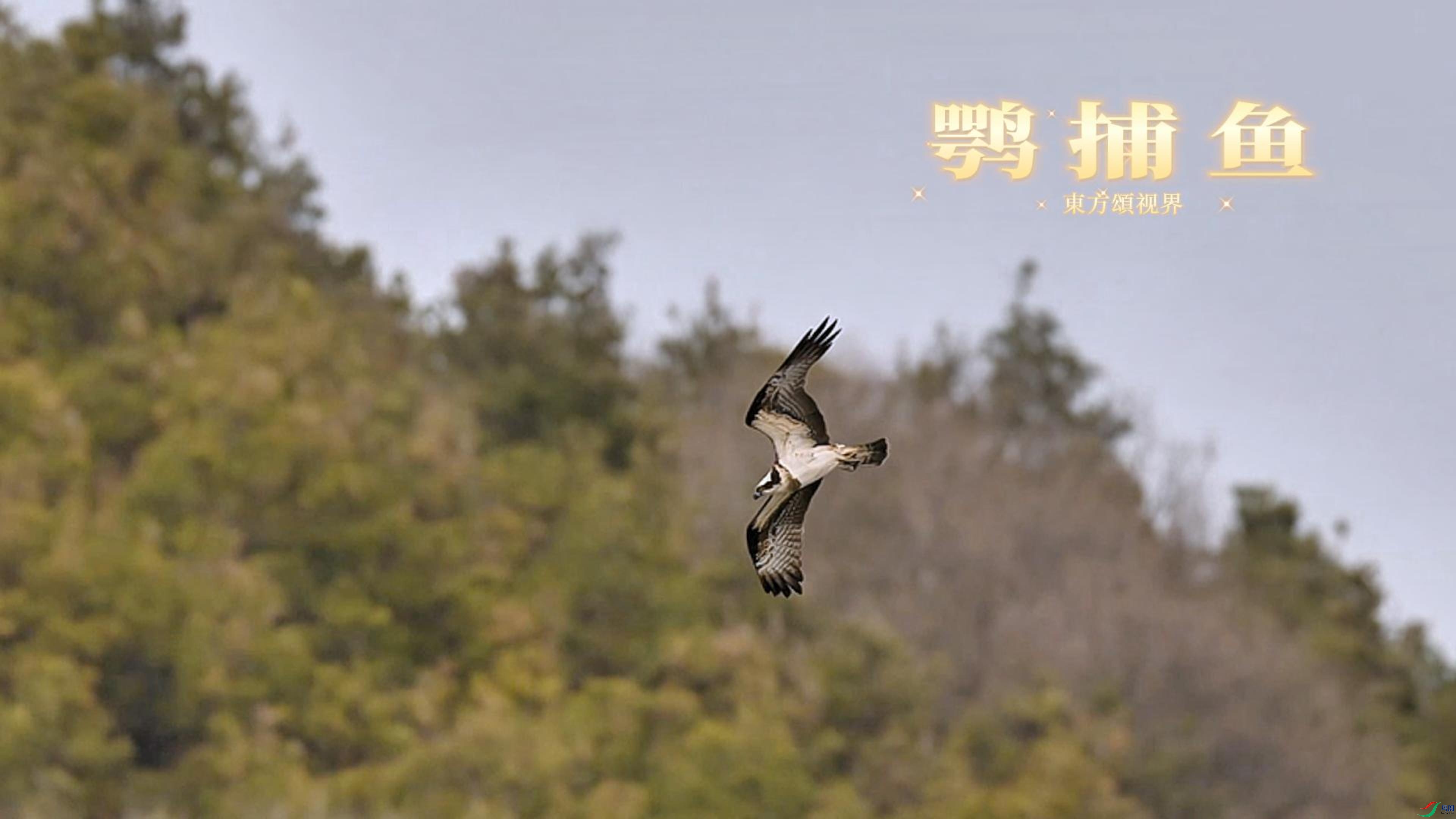 4��26�� (2)-����.jpg