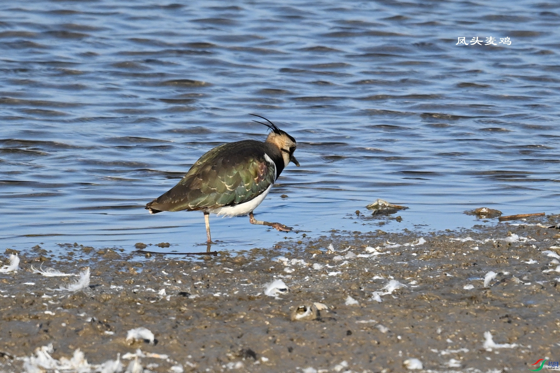 DSC_8648.JPG