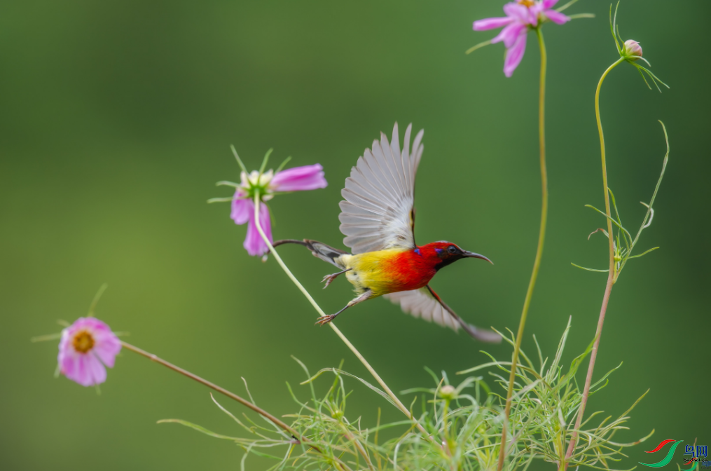 �������ѡ�������֦ҡ�����ˡ����ٻ����Ѿ�������ɽ���� 27.png