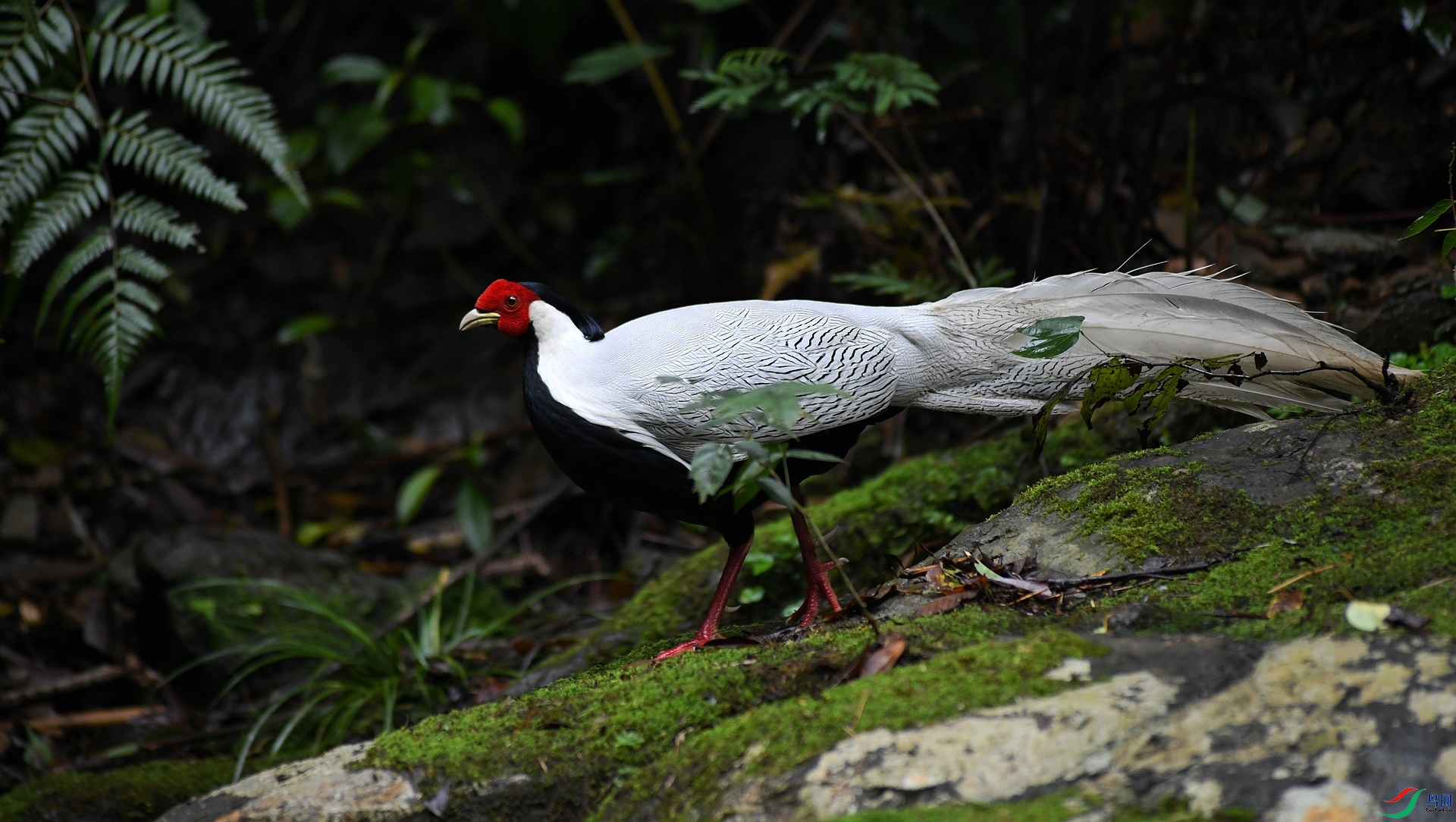 DSC_6793.jpg