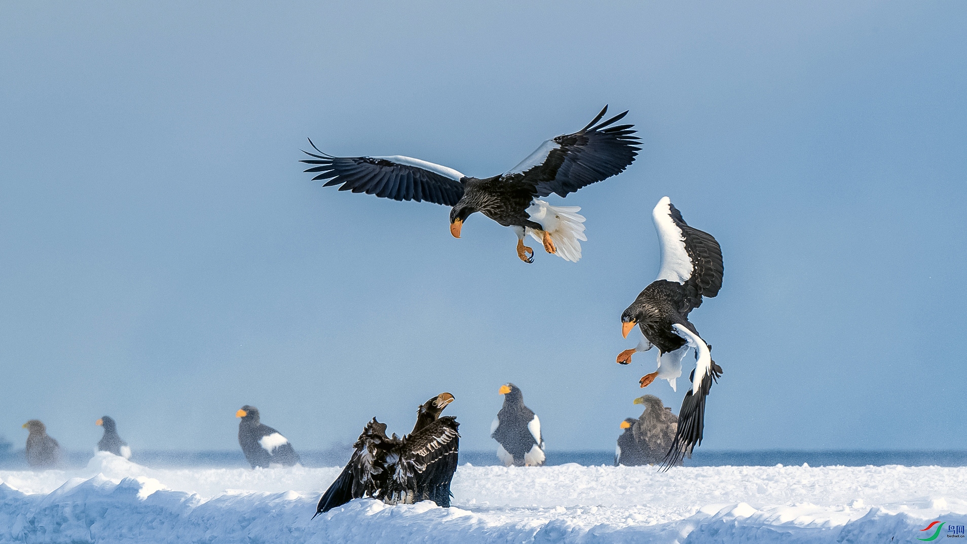 _DSC3089-1w.jpg