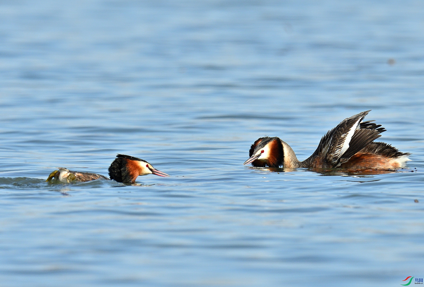 DSC_3697.JPG