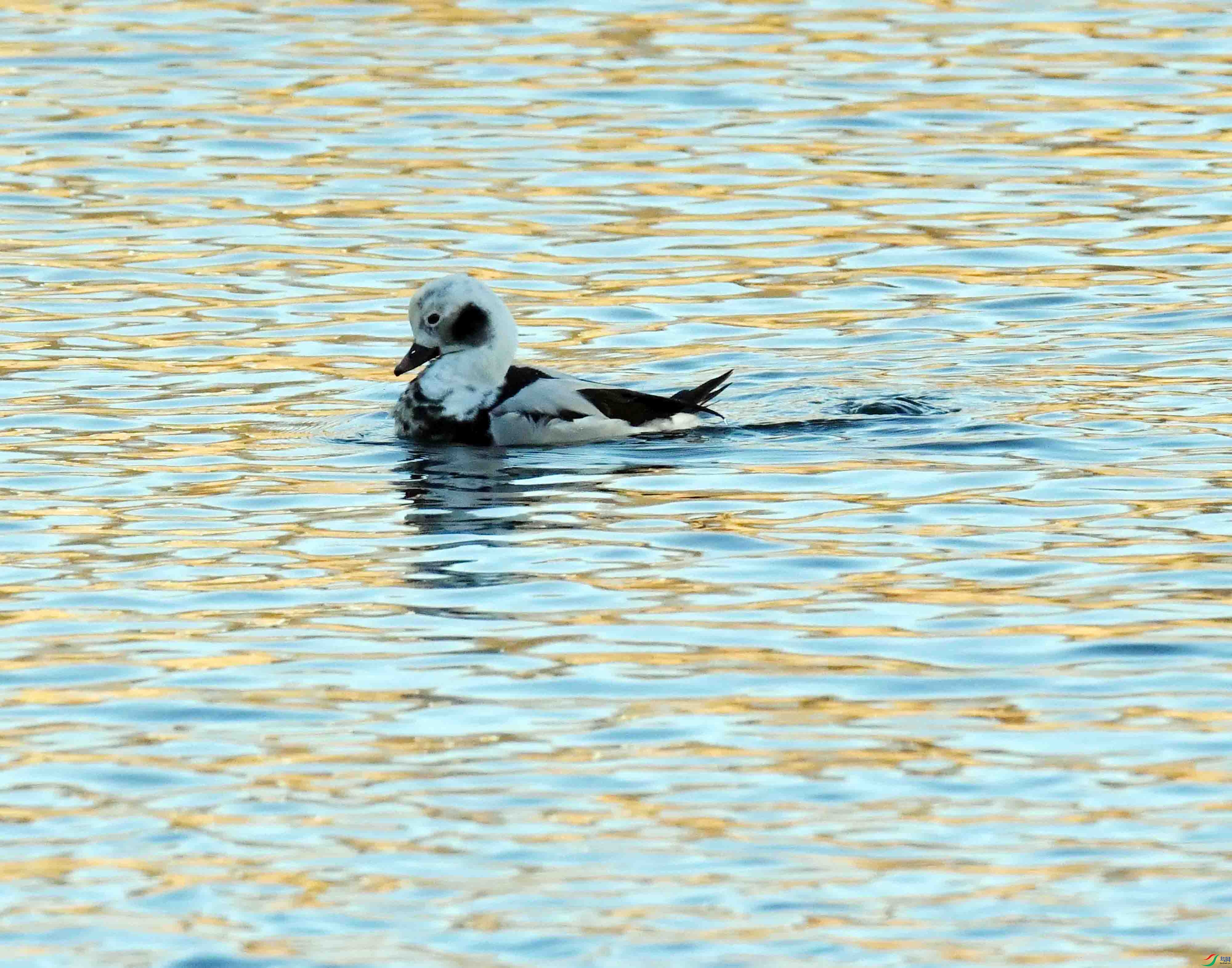 DSC_7293.JPG