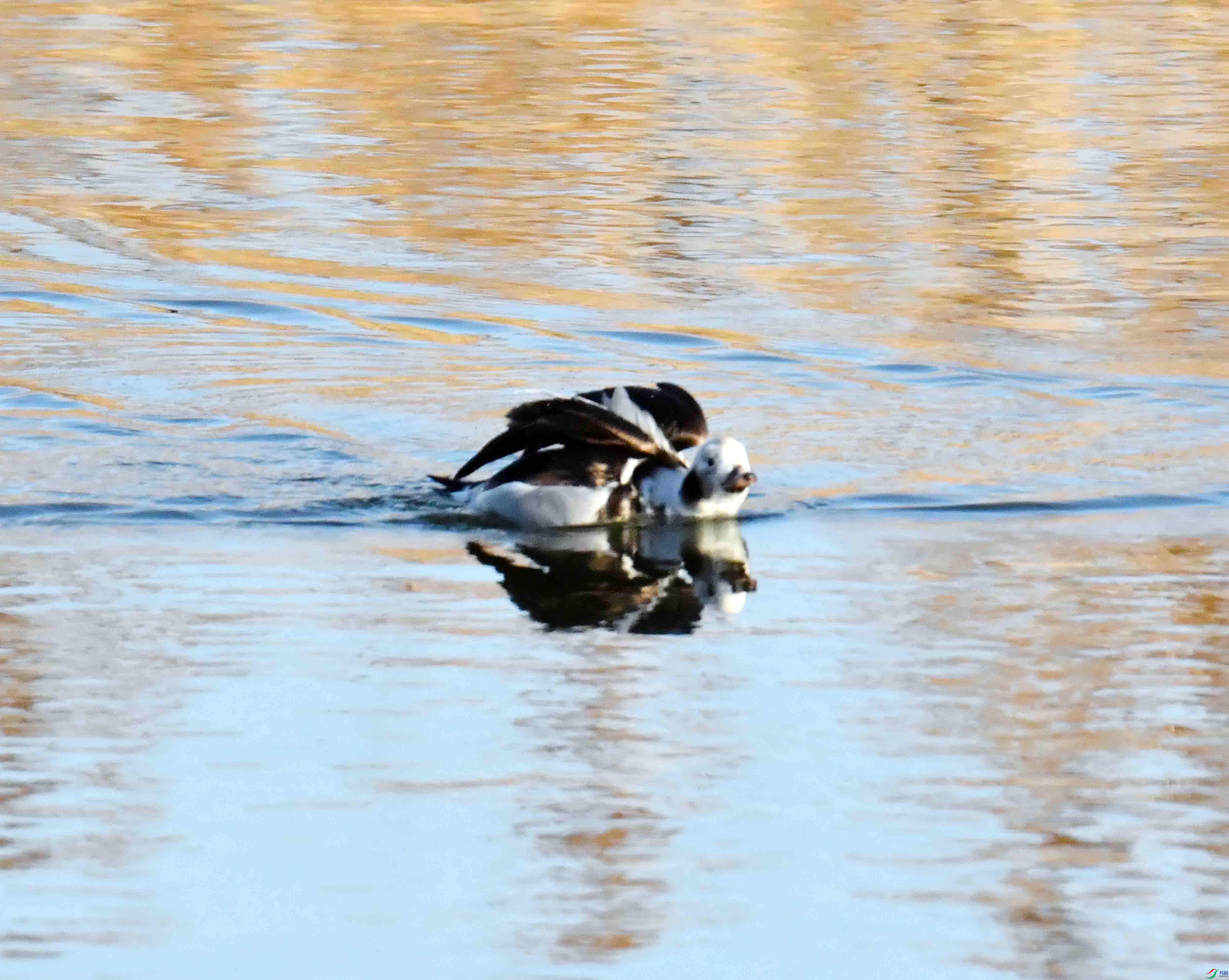 DSC_7407.JPG