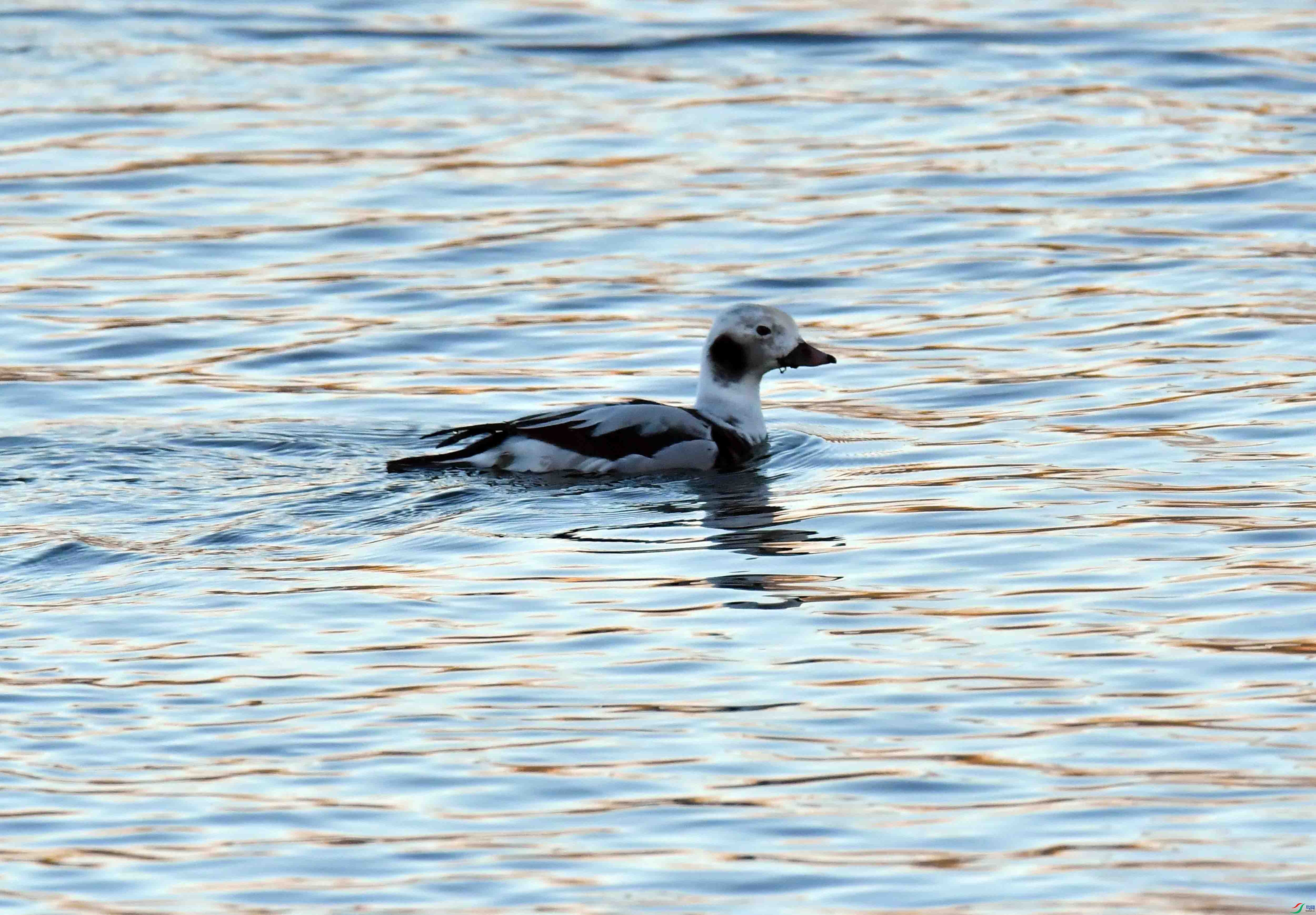 DSC_7360.JPG