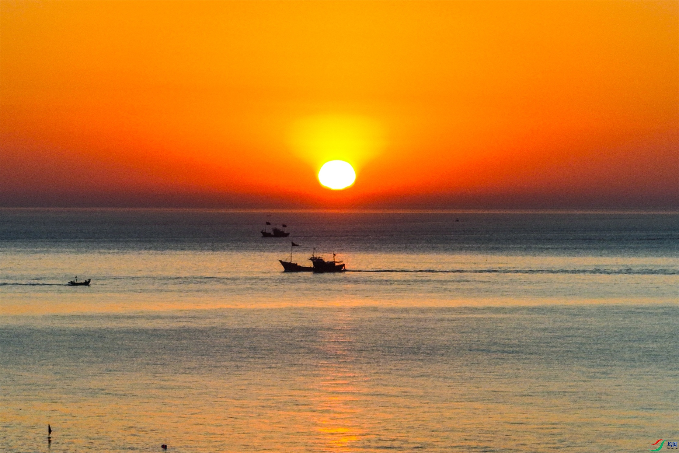 dji_fly_20250426_050518_279_1745654347637_photo ����1.jpg