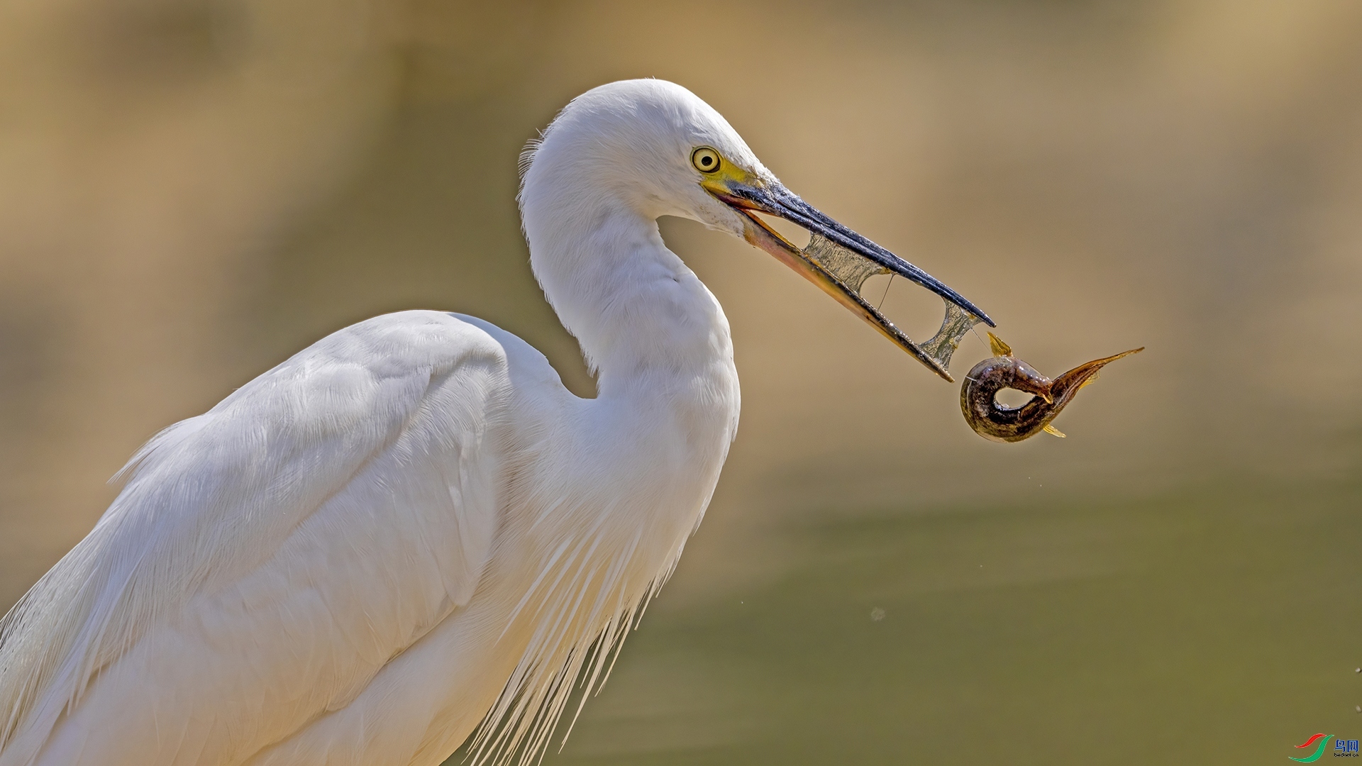 �����Ը� ���� ������ ����.jpg