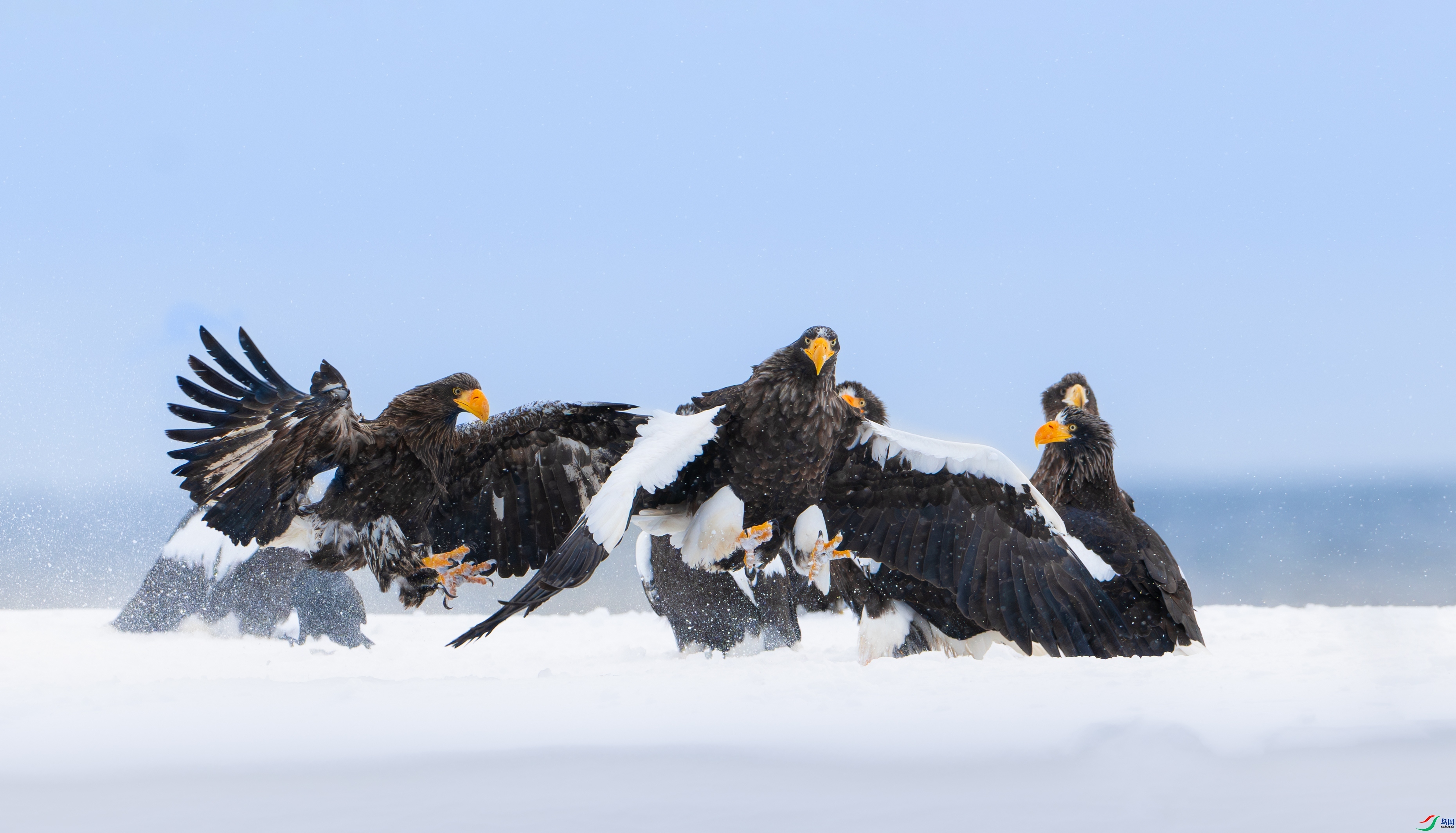 ÿ�ռ��� ׷��  ���� ��Ͽ֮�� ����.jpg