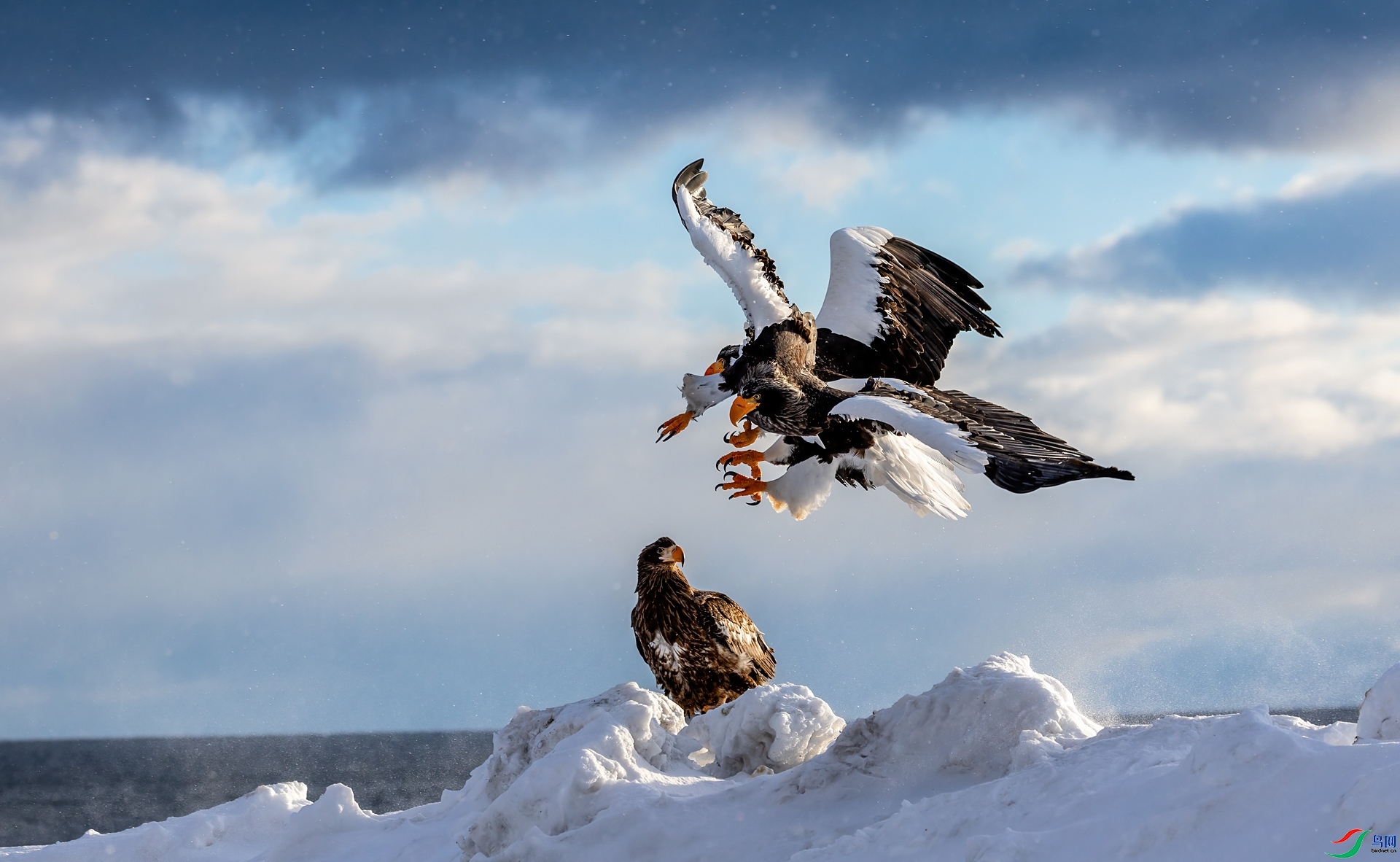 ��ͷ�Ͱ�β  ���� ����ʽ ��һ.jpg