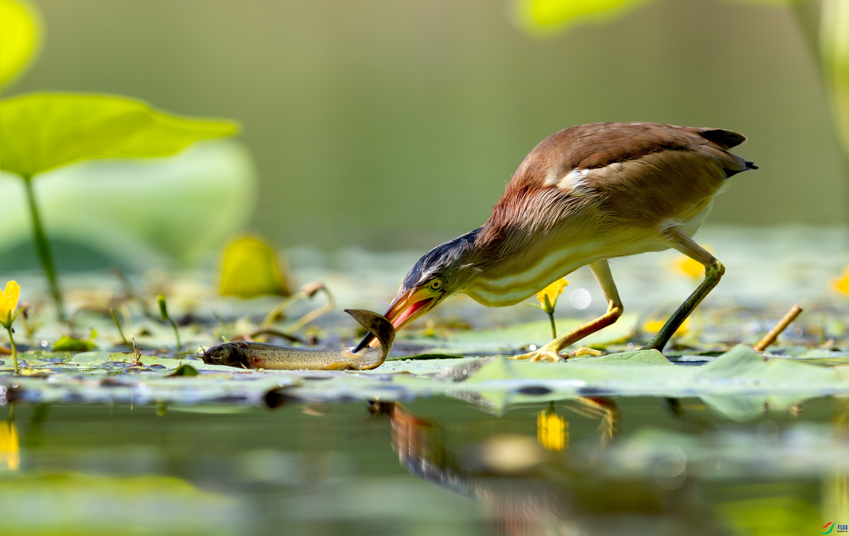 һ������ ���� һ·���� �ܶ�.jpg