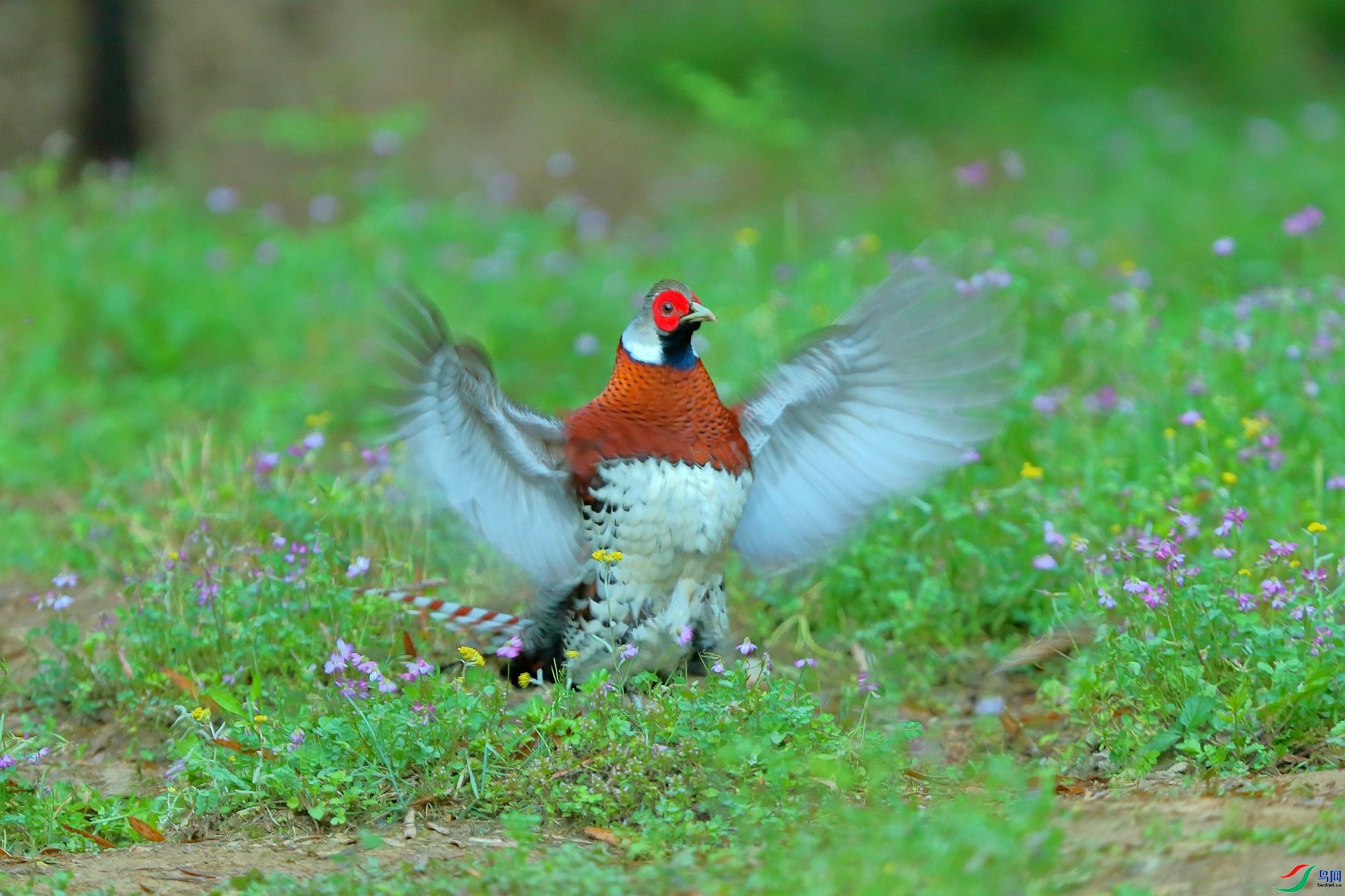 ����ĺ���  ���� ����.jpg