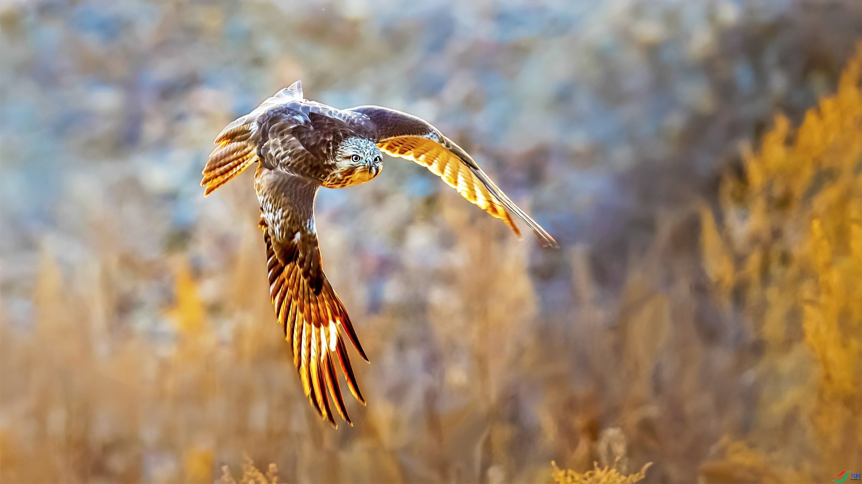 ϼ��ӳ����  ���� wh�ϳ� ����.jpg