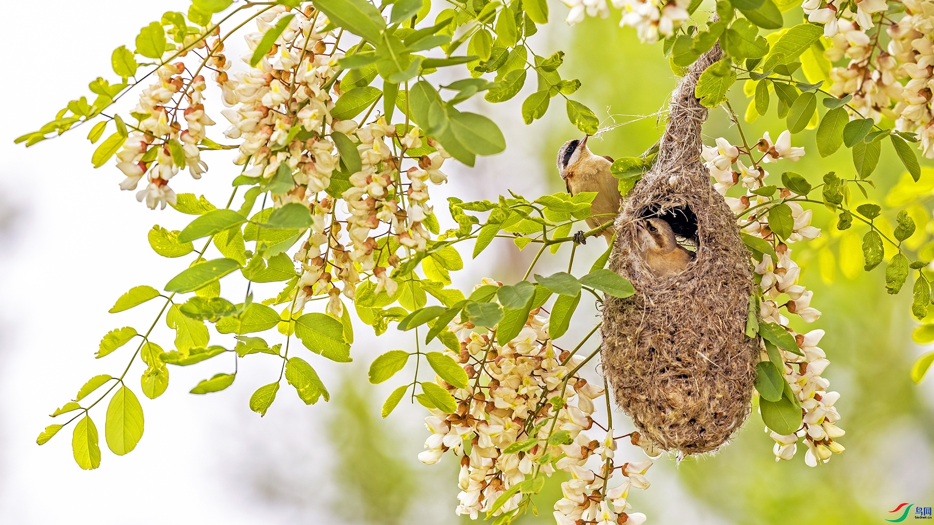 ��������  ���� ���ַ� ����.jpg